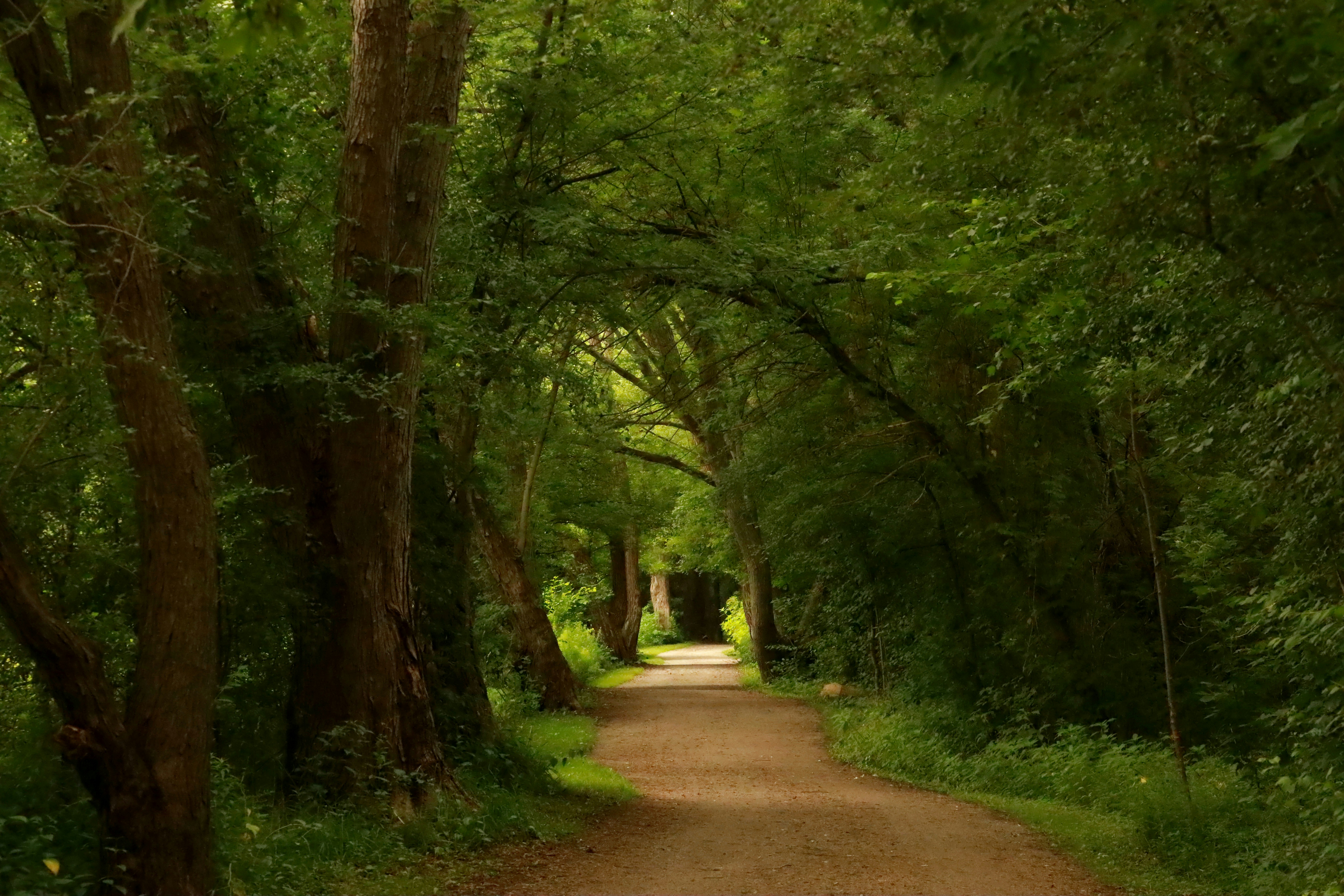 Photo by richardworks