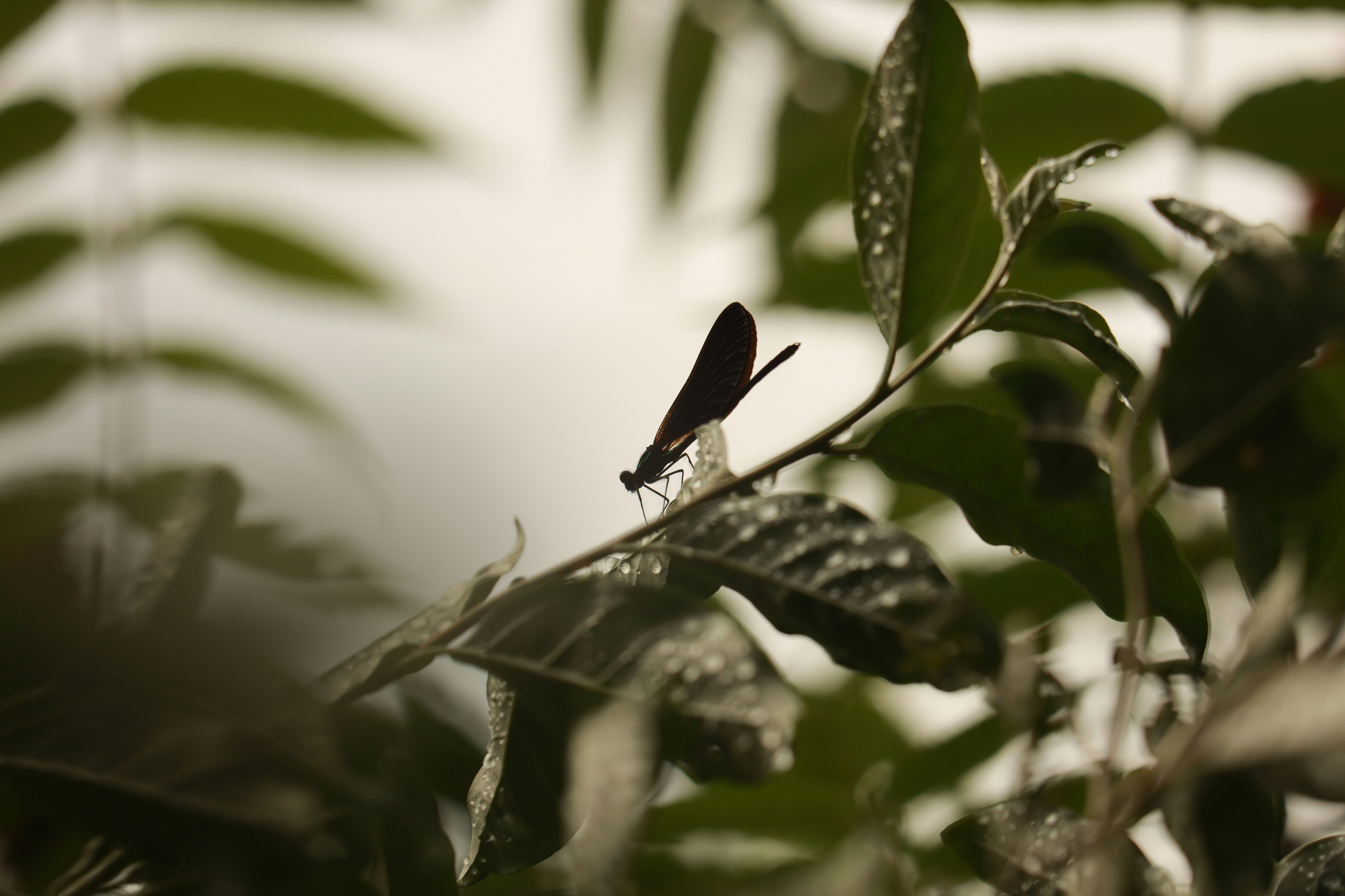 Photo by richardworks