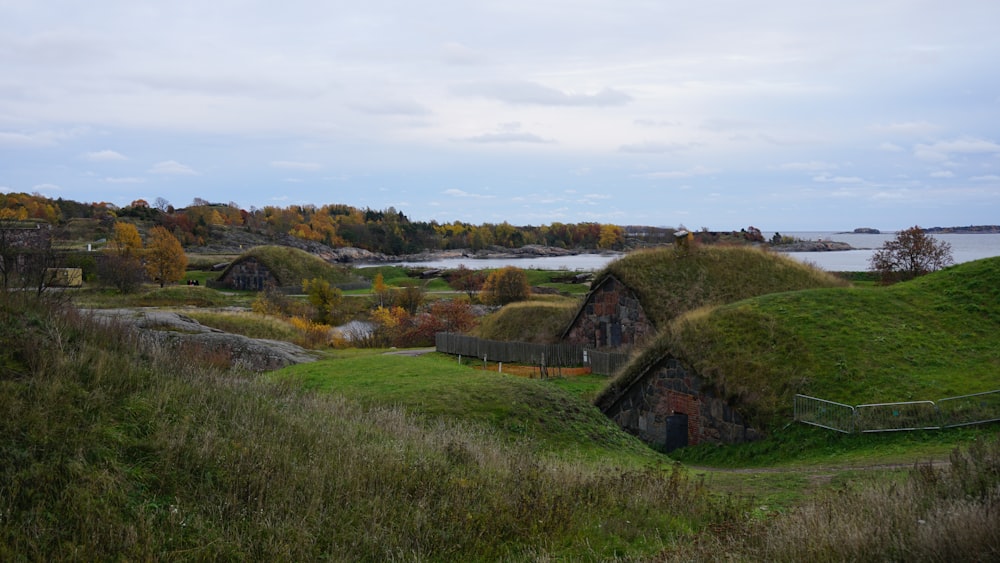 a group of grass roofed houses in a field