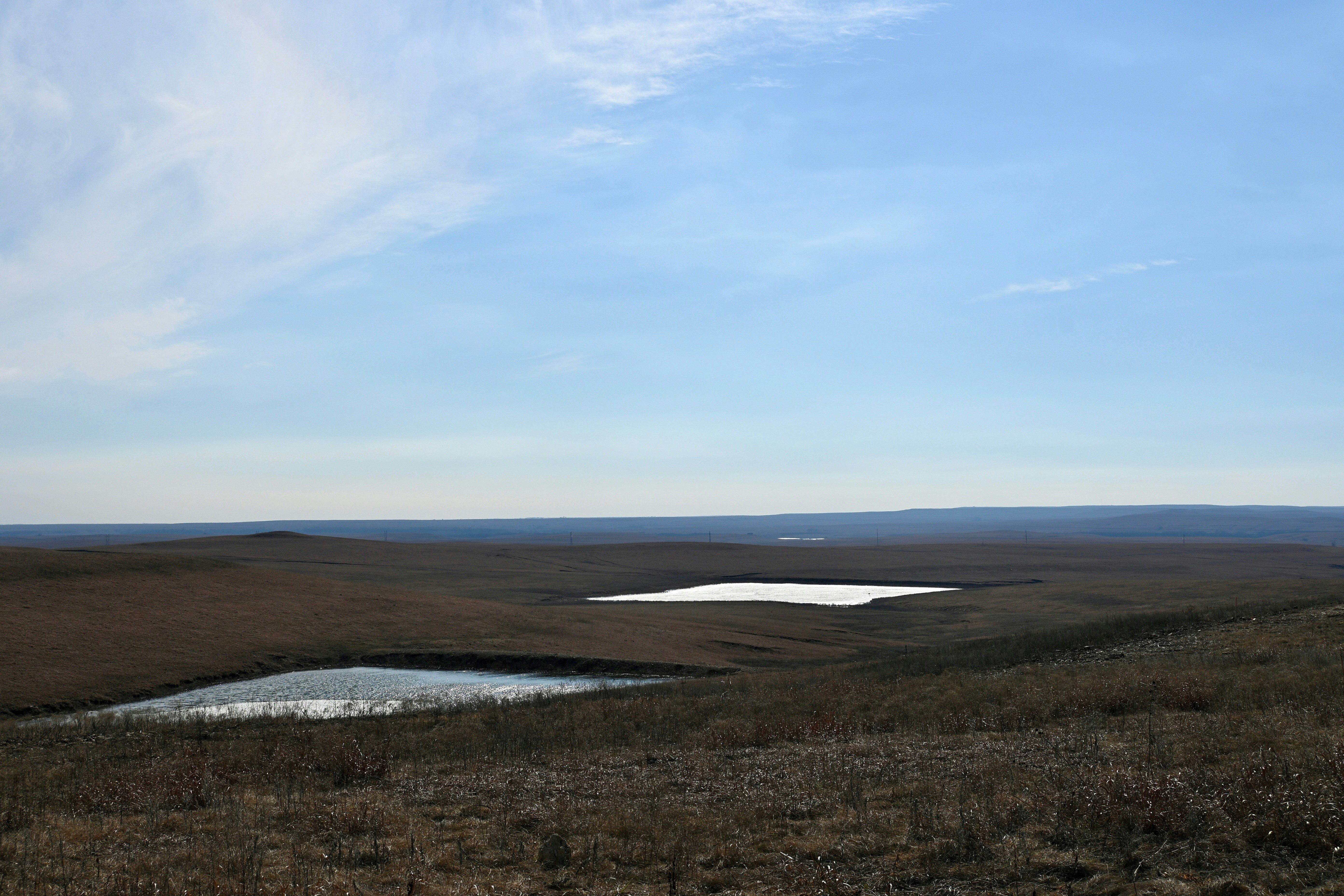 Ancient Peat, Modern Science (image credits: unsplash)