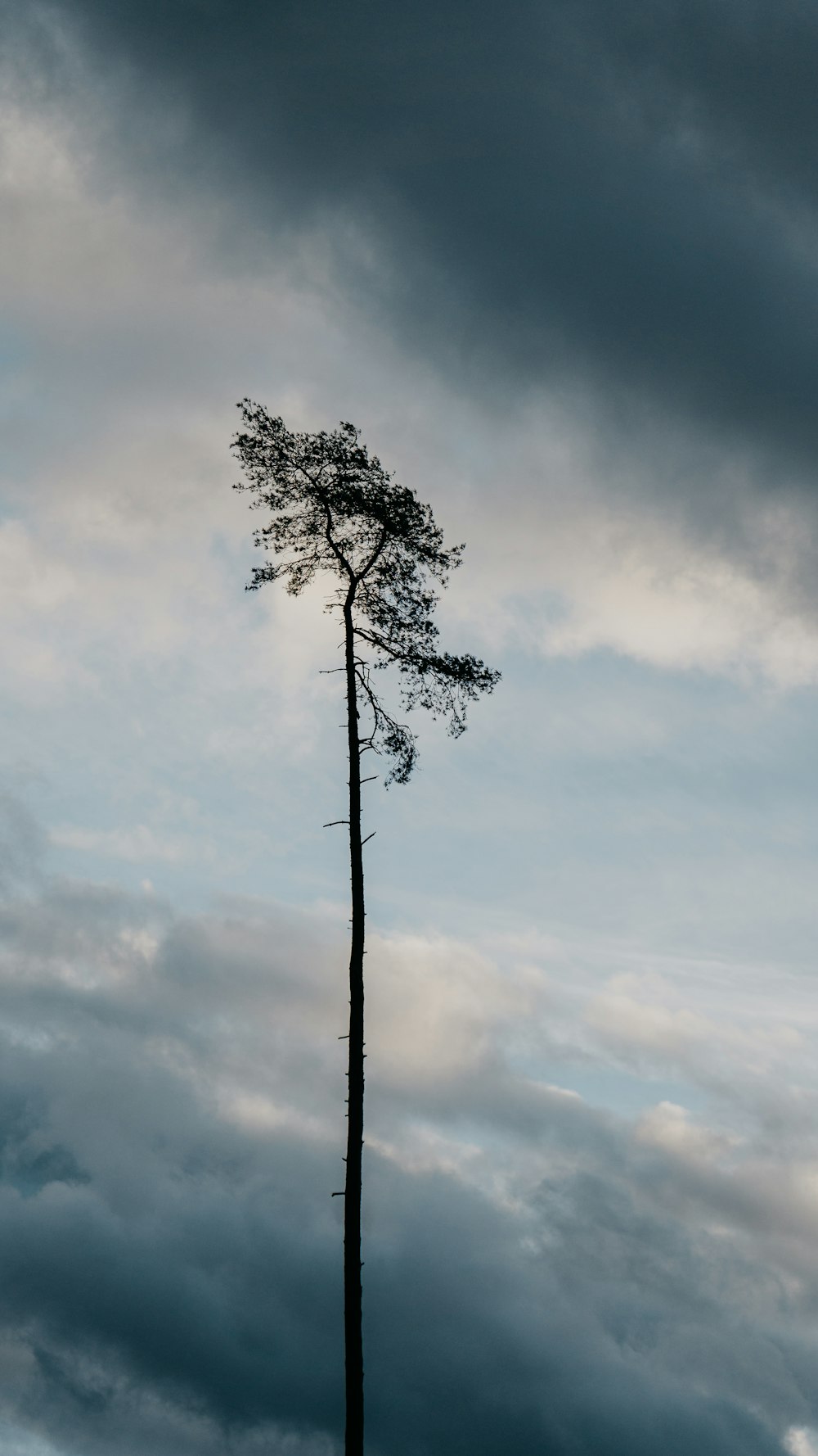 a lone tree standing in the middle of a cloudy sky