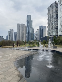 a fountain in a city park with skyscrapers in the background