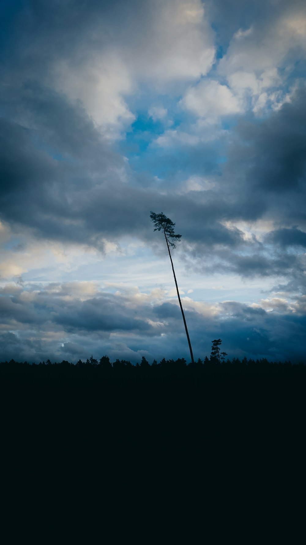 a lone tree is silhouetted against a cloudy sky