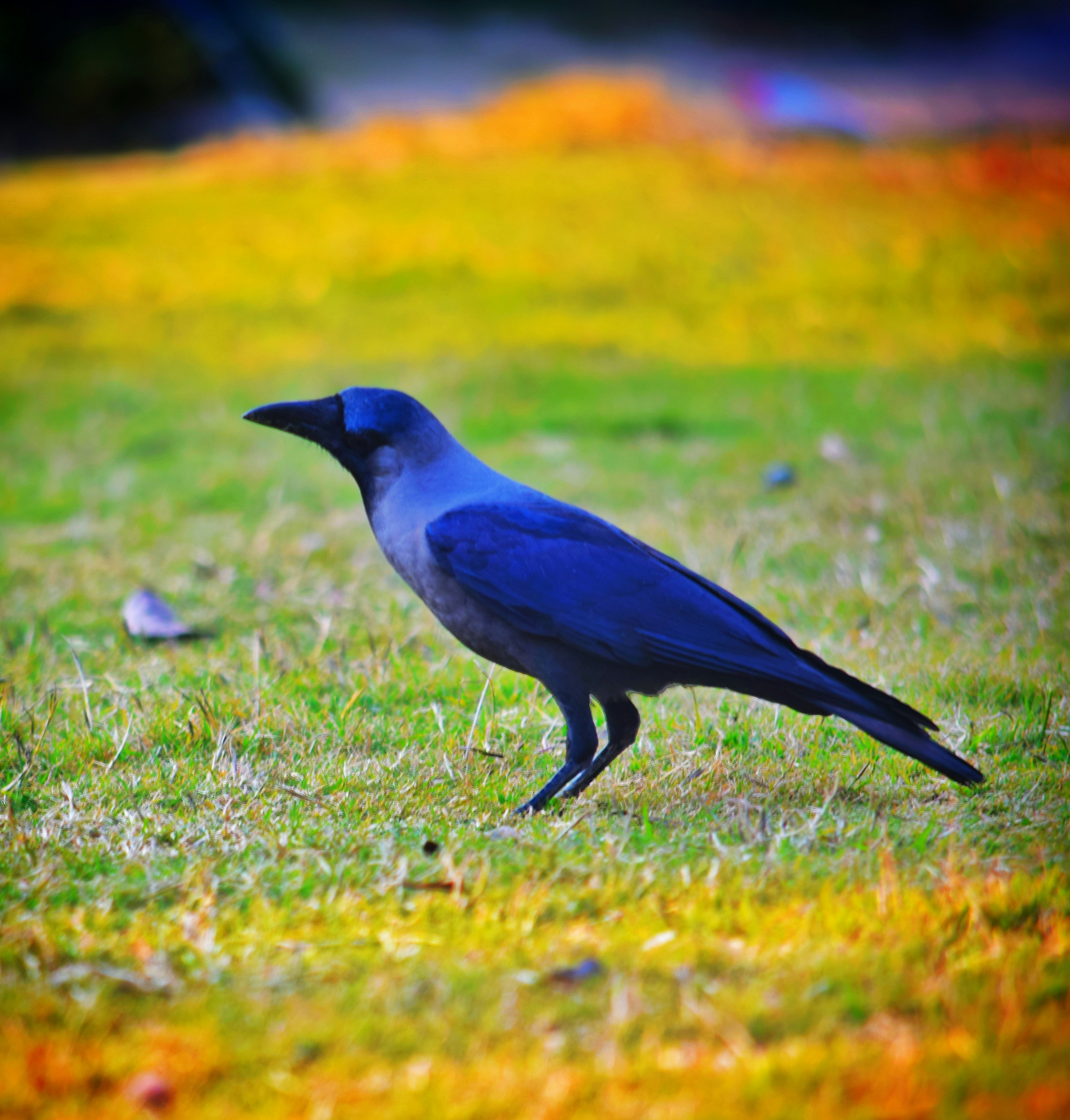 Photo by sajidazizk990