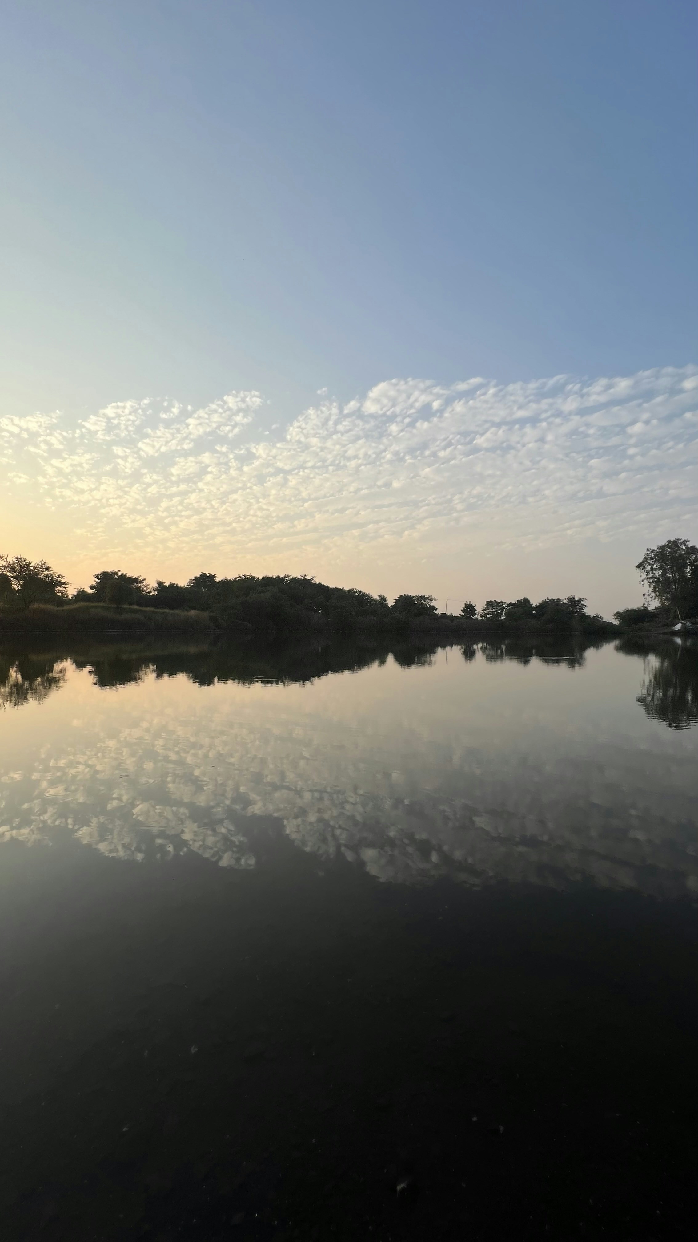 Photo by anthonycheese