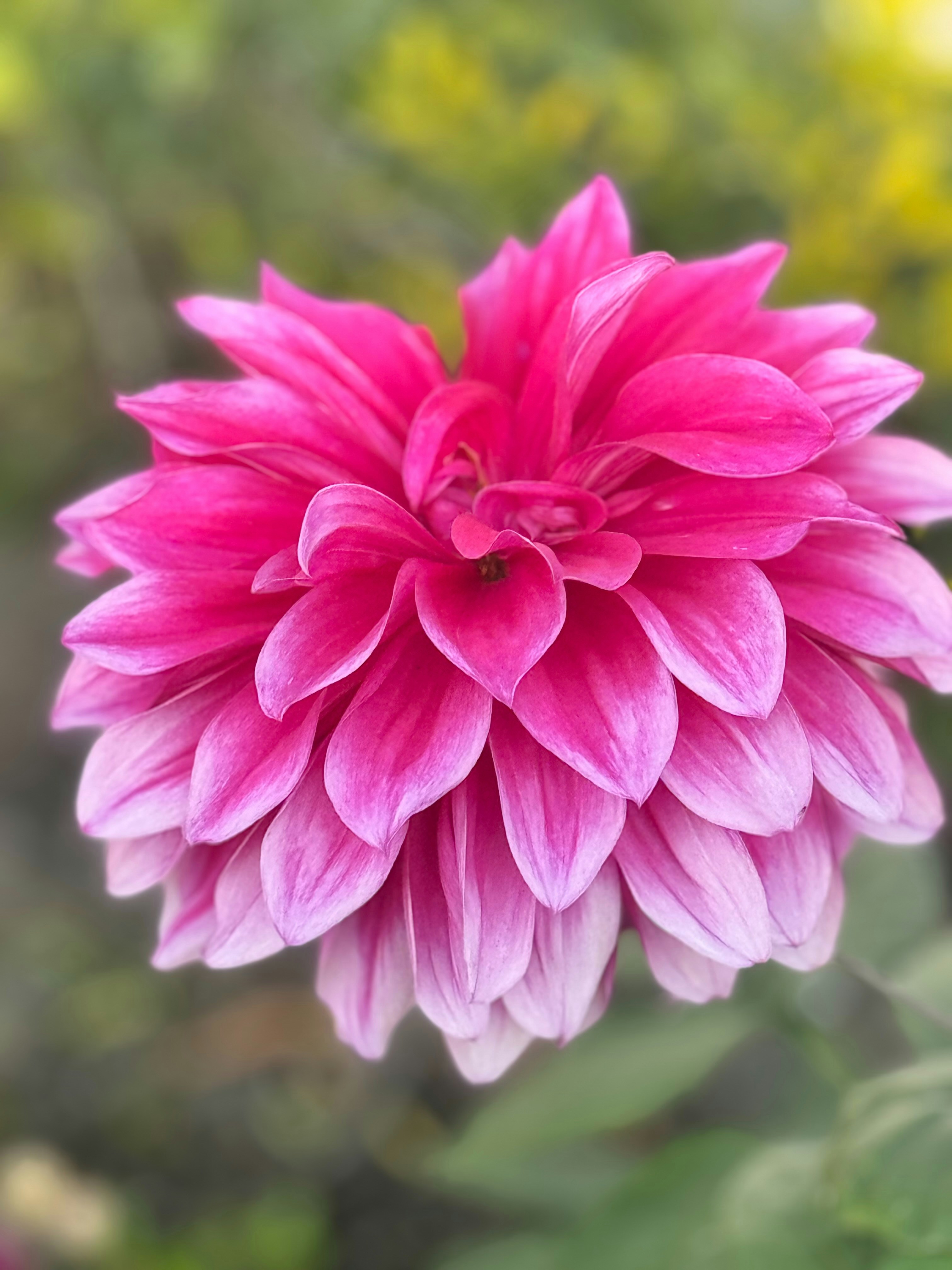 Photo by nainagautam