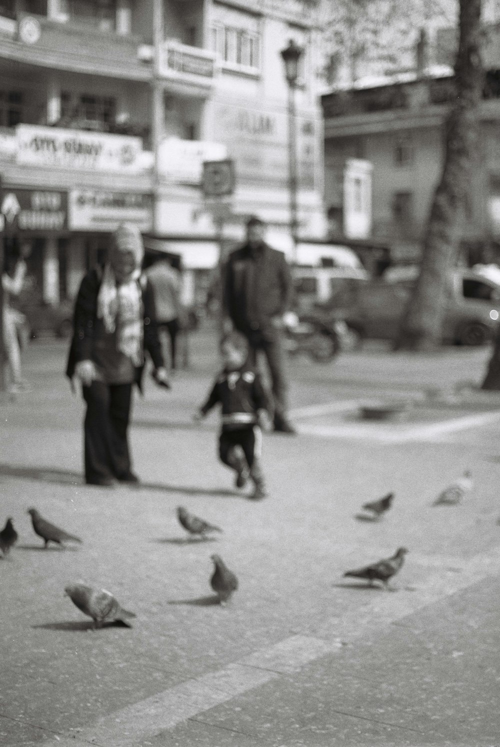 a black and white photo of pigeons on the street