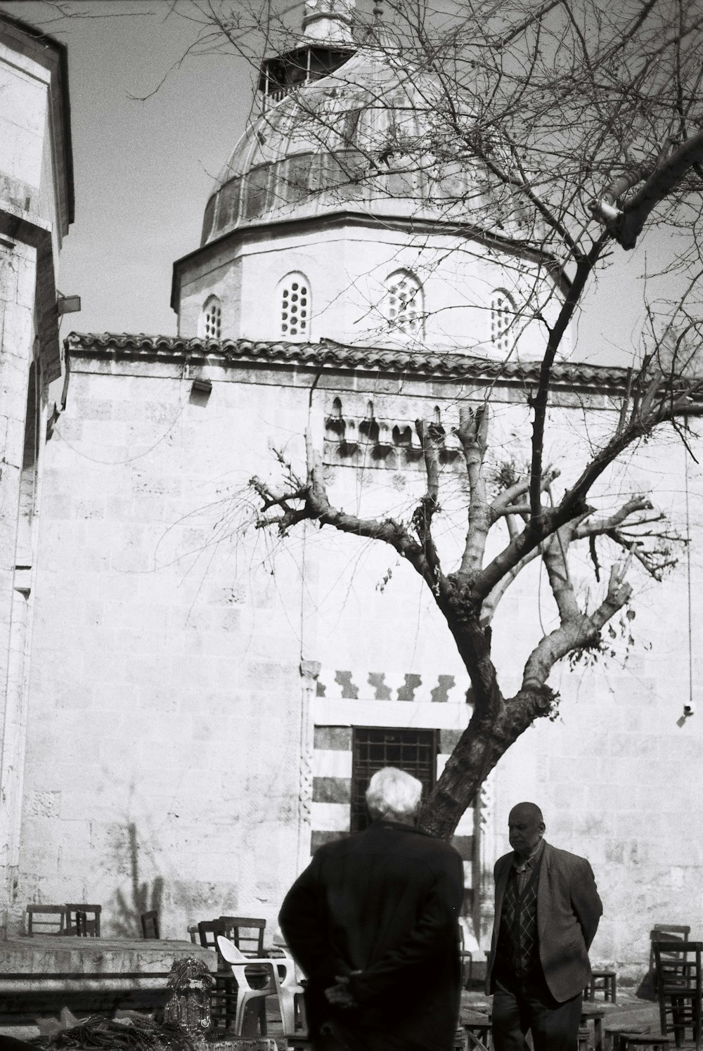 a couple of men standing next to a tree