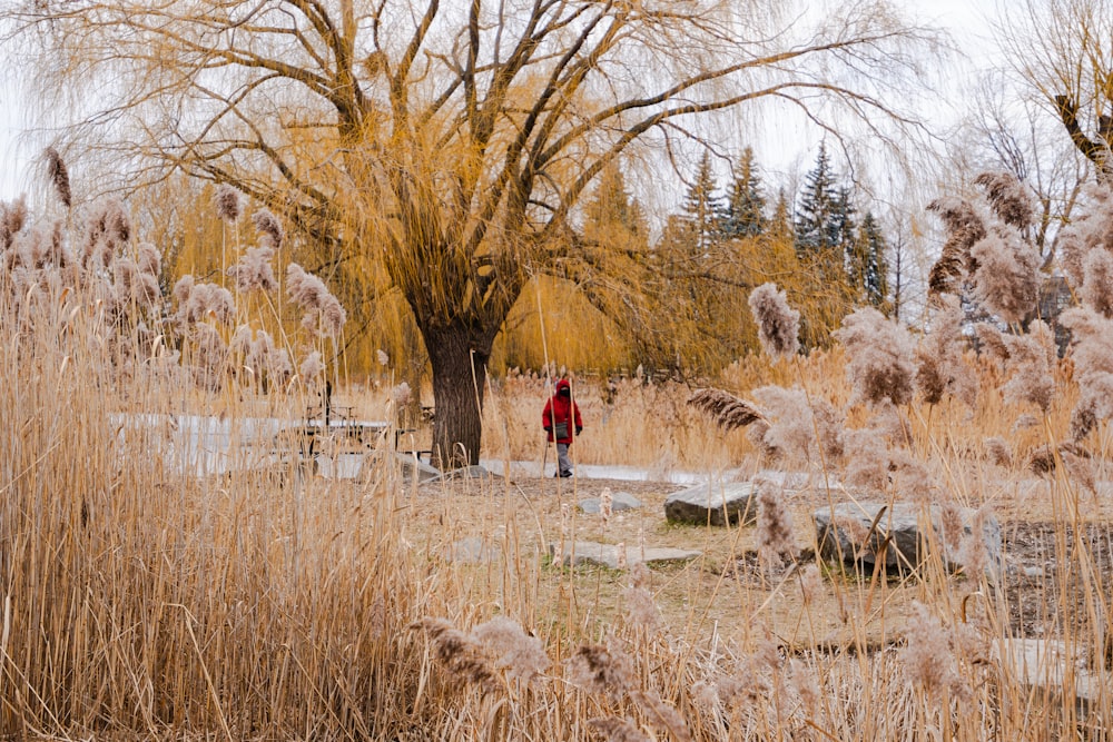 una persona con una chaqueta roja caminando por un campo