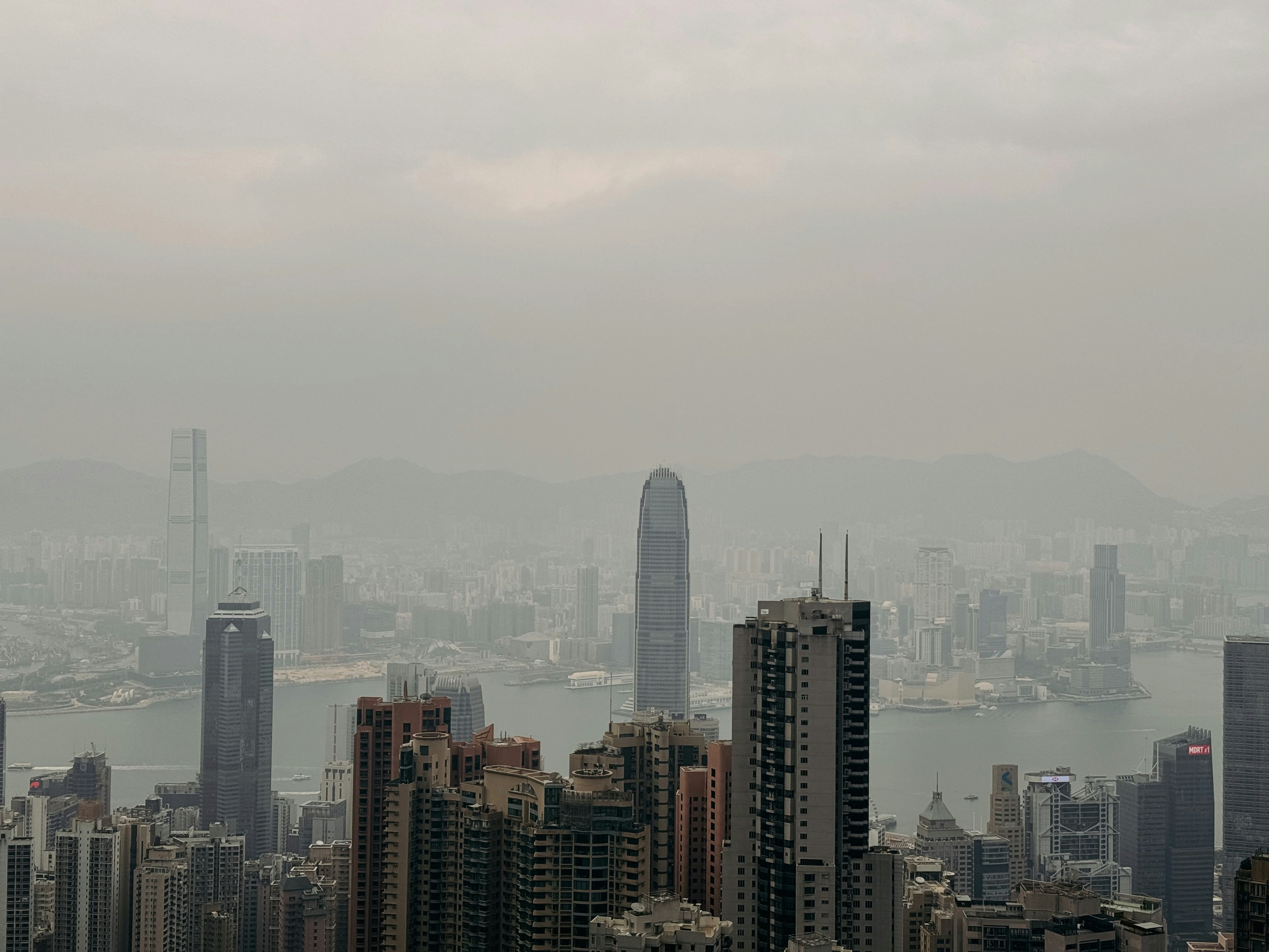 Photo by mikaleeskull