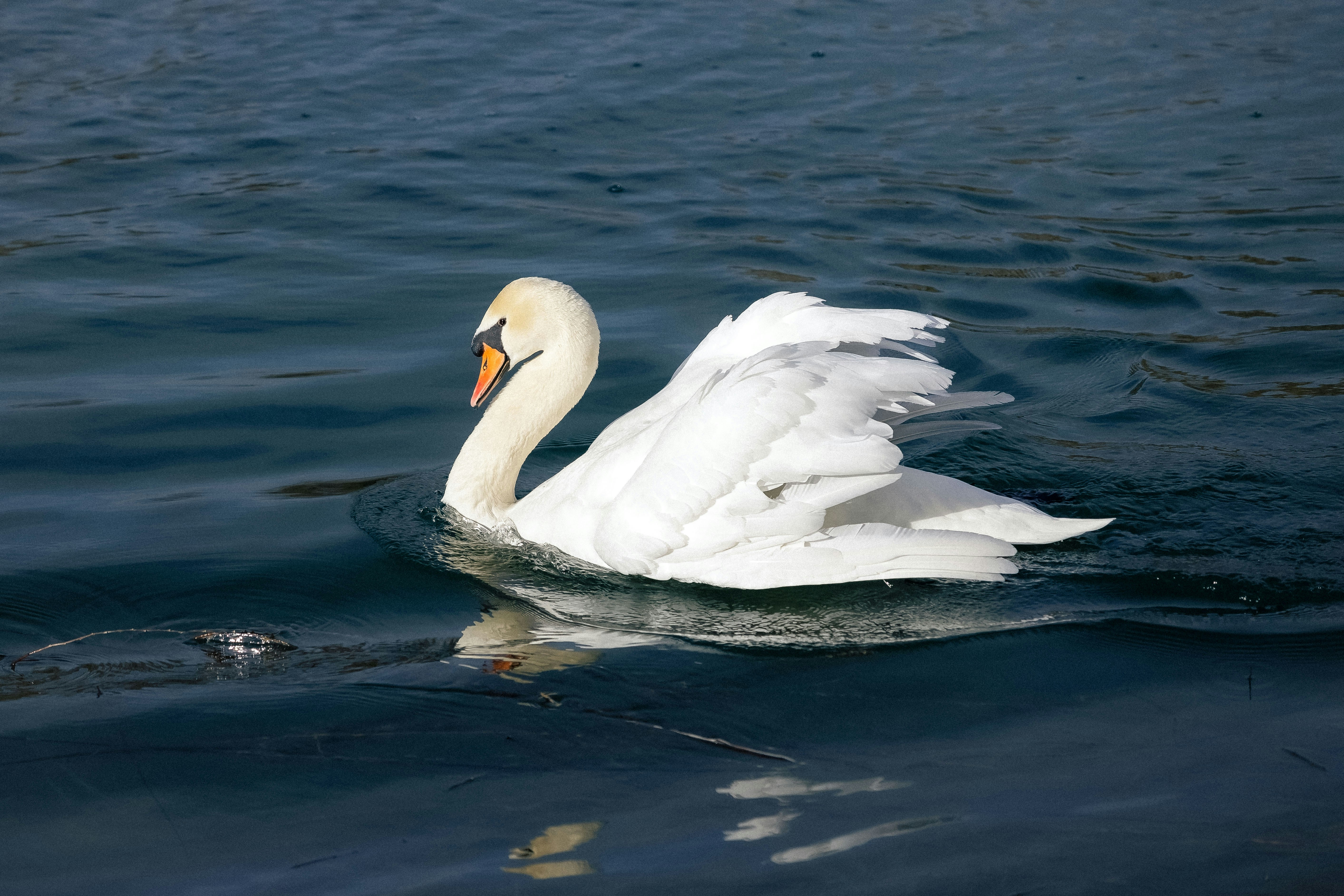 Photo by photo_zhulin