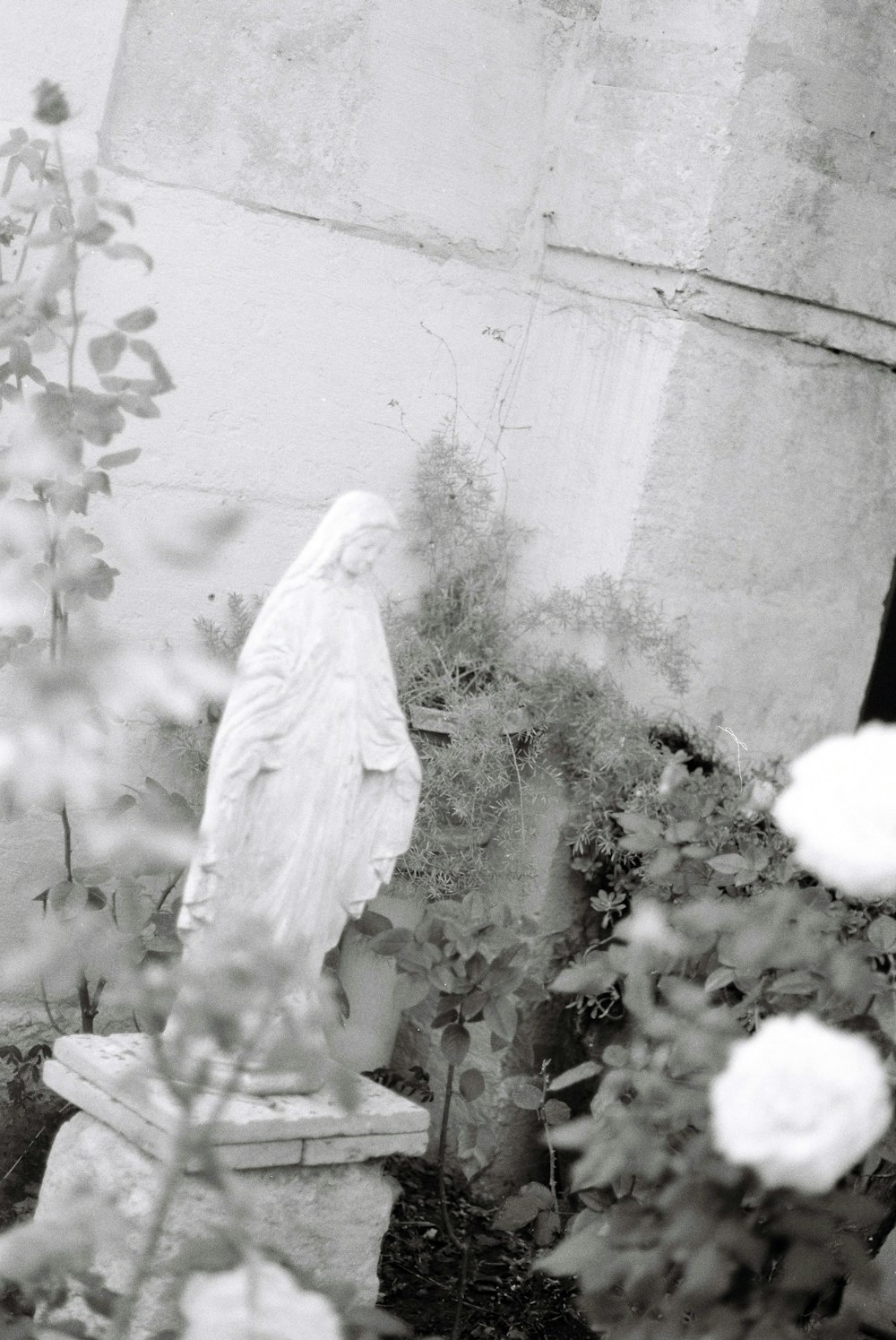 a black and white photo of a statue in a garden