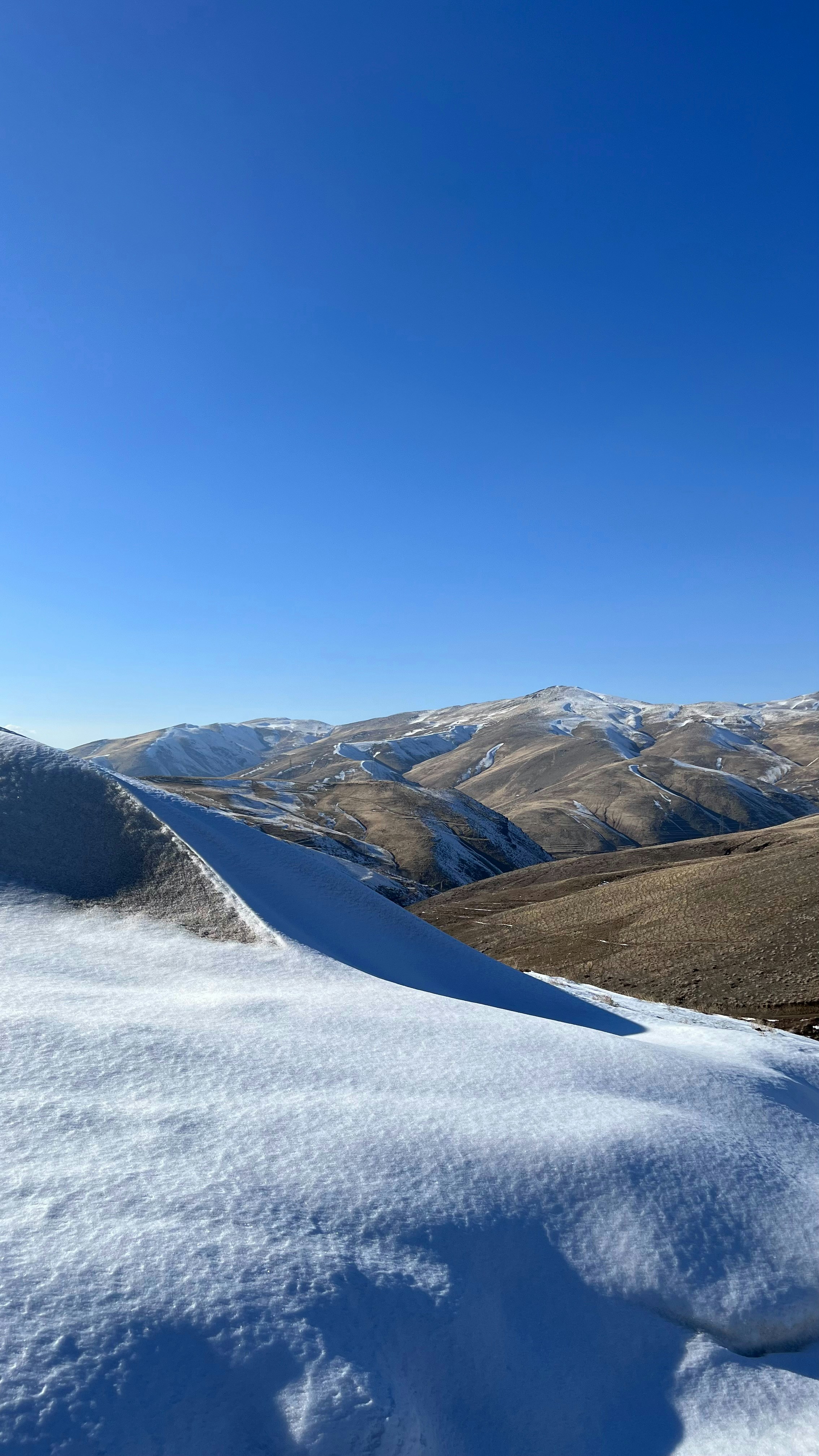 Photo by amir__rostami