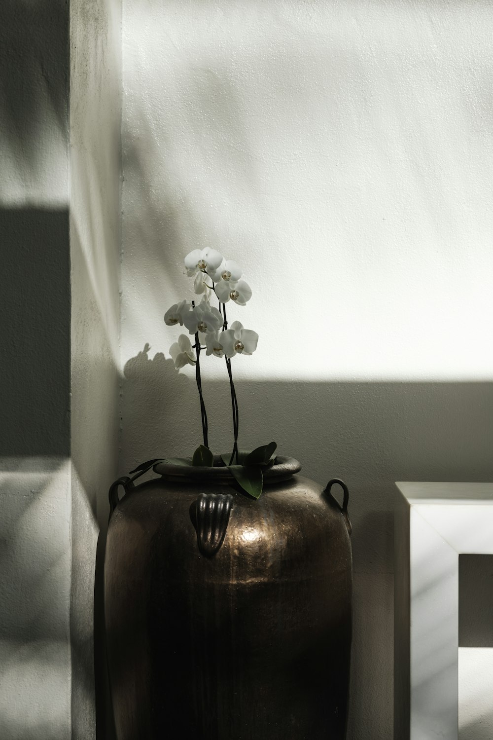 a vase with a small white flower in it
