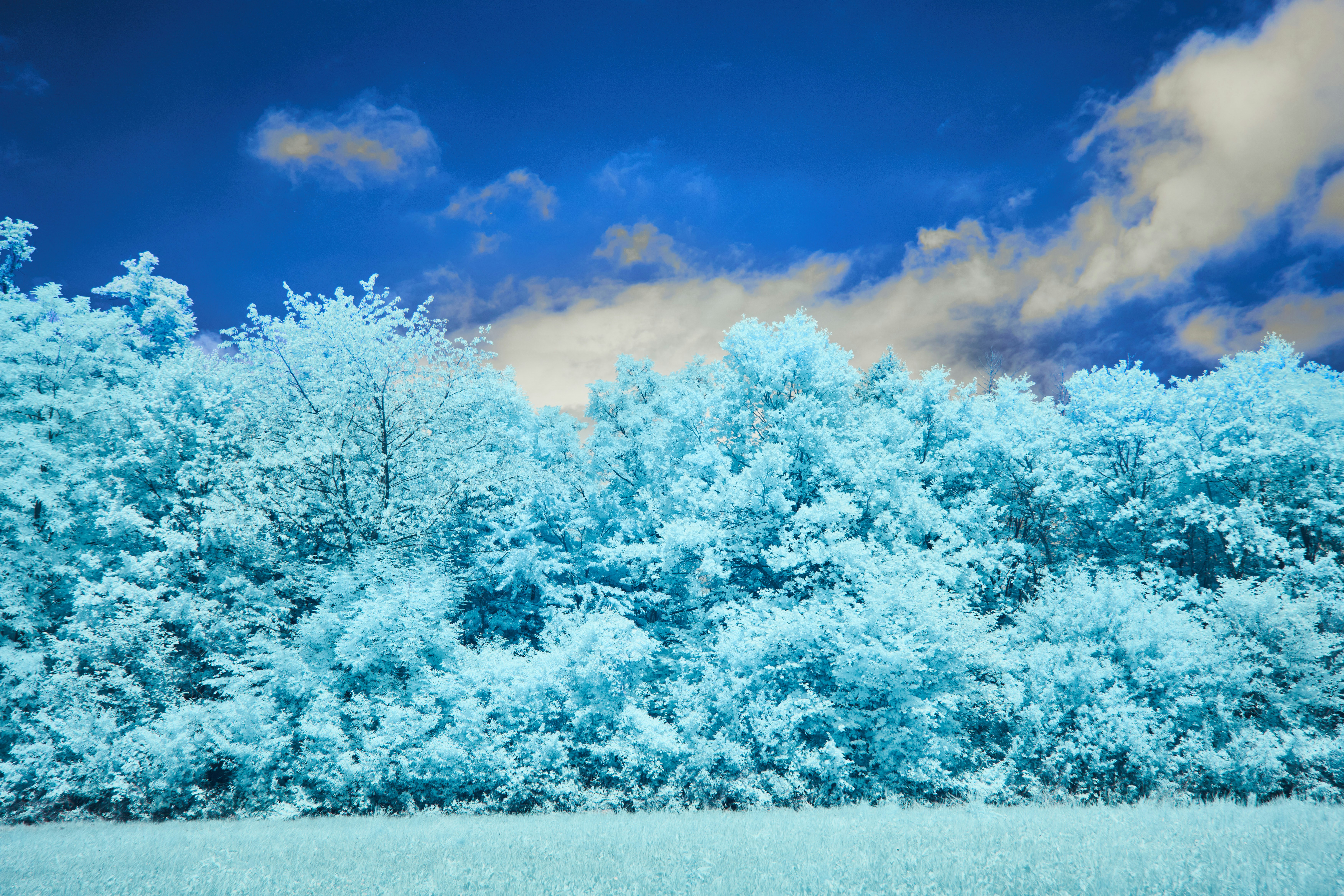 Photo by wolfgang_hasselmann