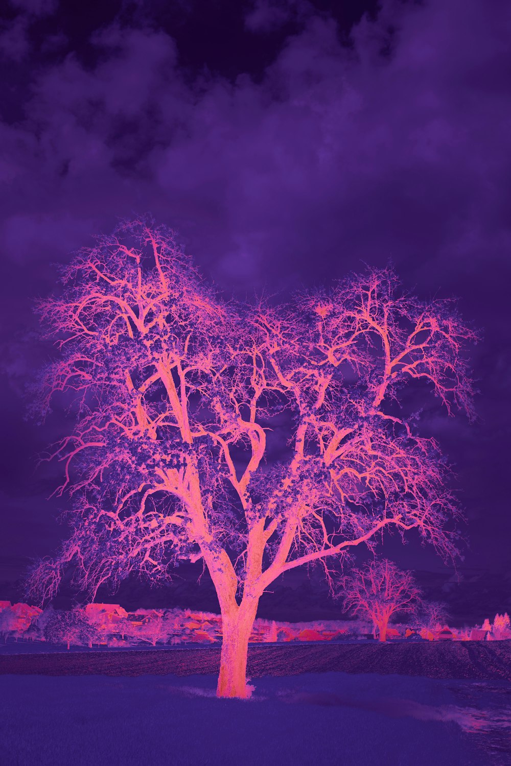 a tree with purple lights in the background