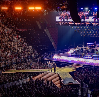 a large crowd of people at a concert