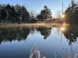 a body of water surrounded by a forest