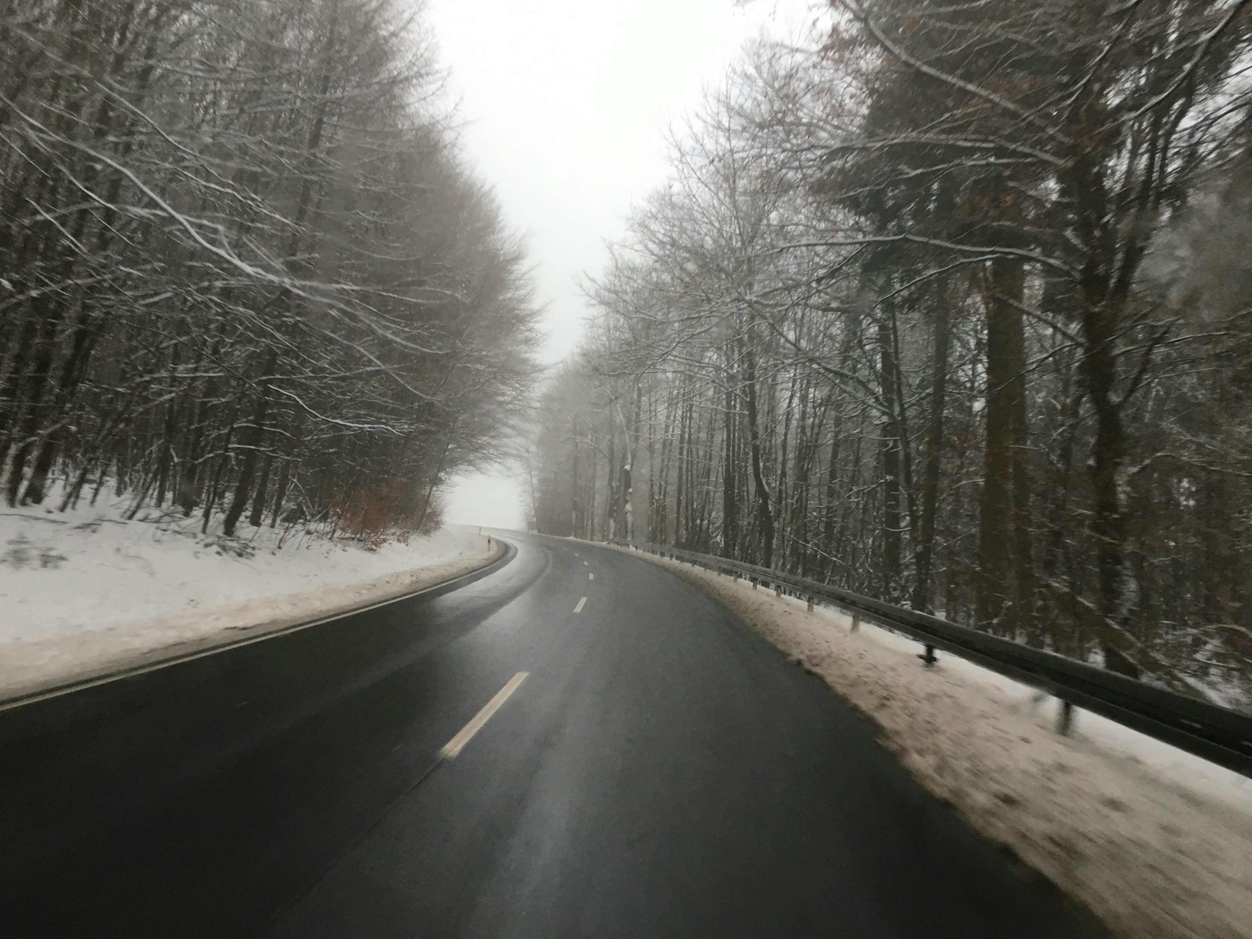 Photo by zaliha