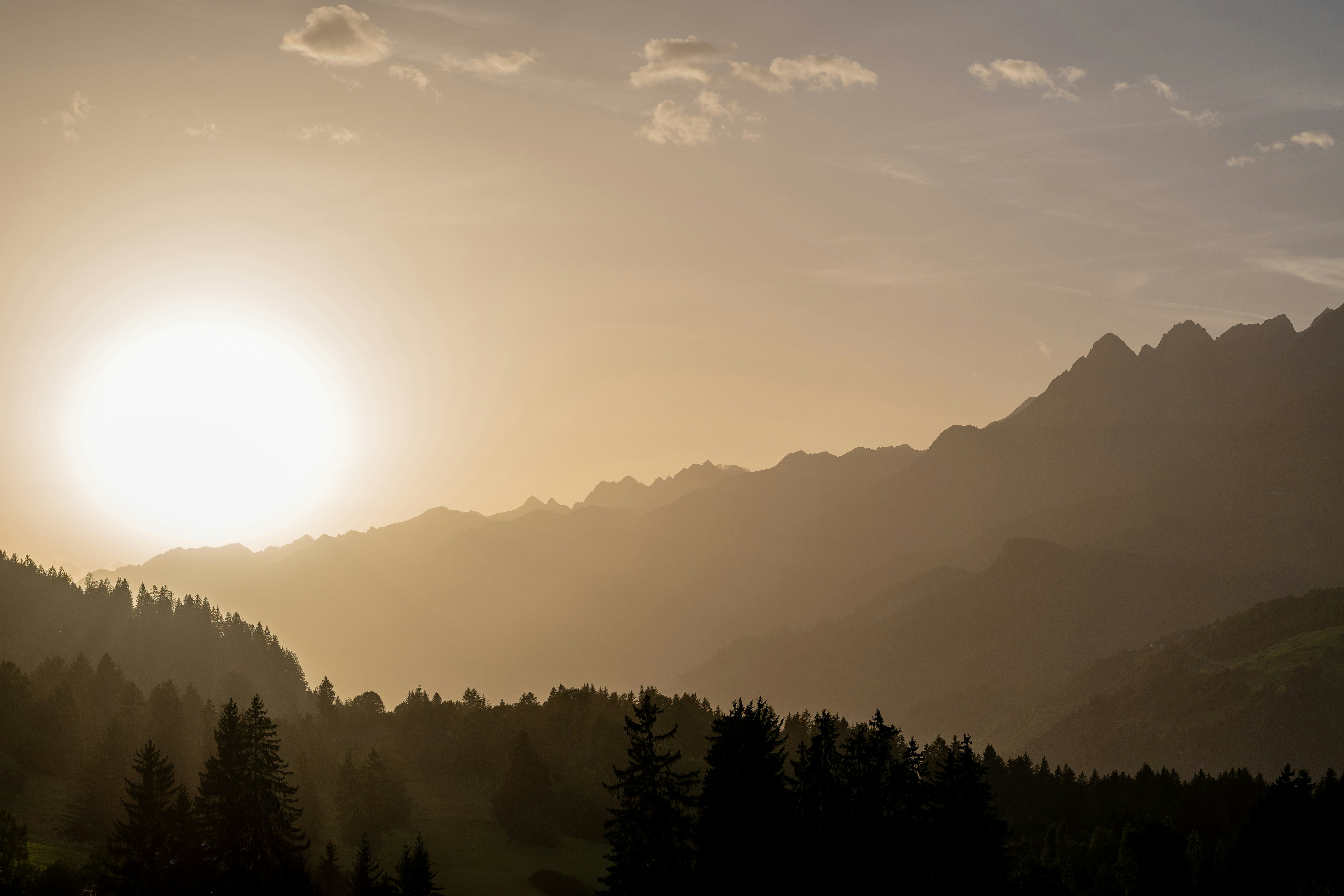 Photo by melanieweidmann_photography