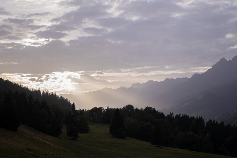 a grassy field with trees and mountains in the background