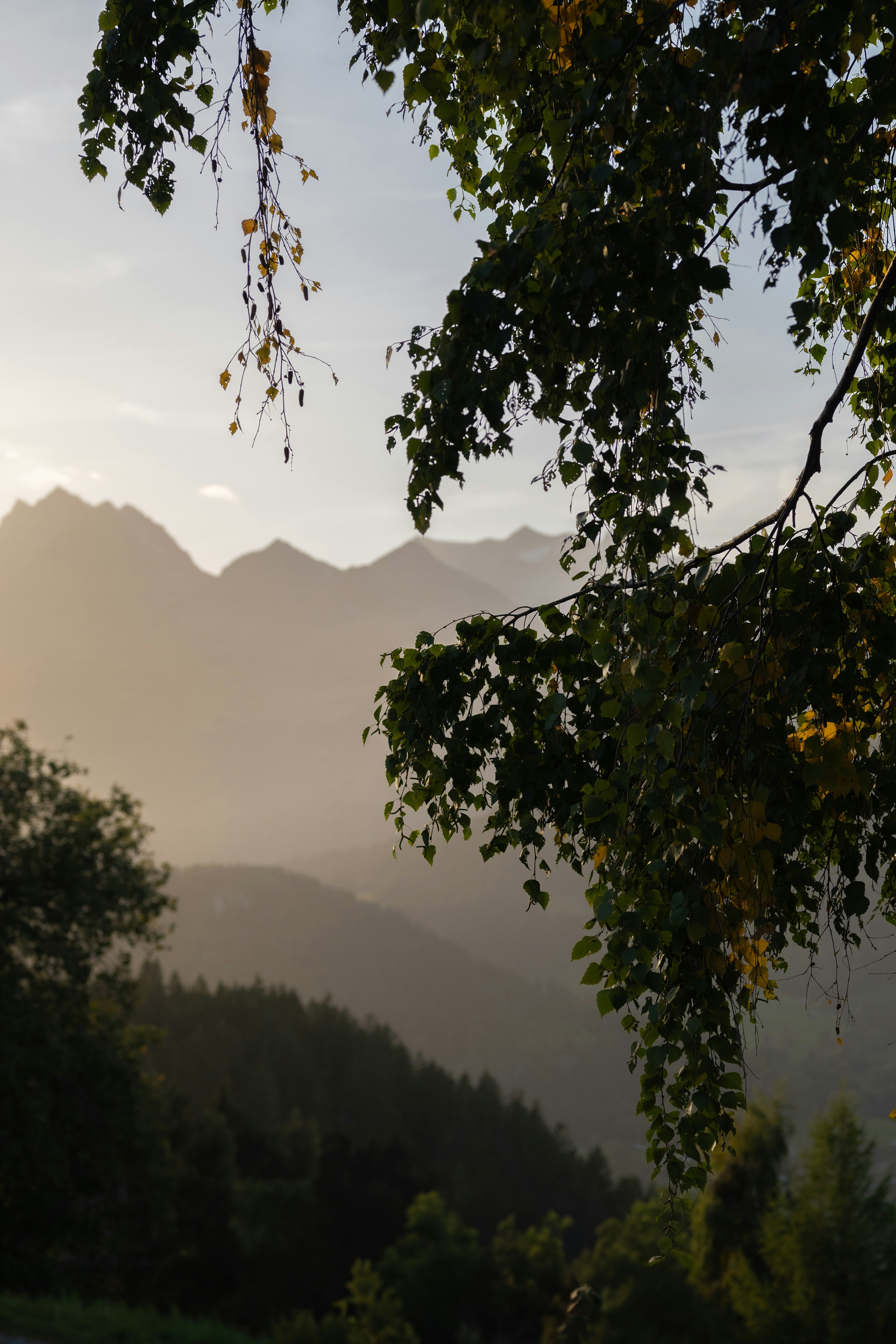Photo by melanieweidmann_photography