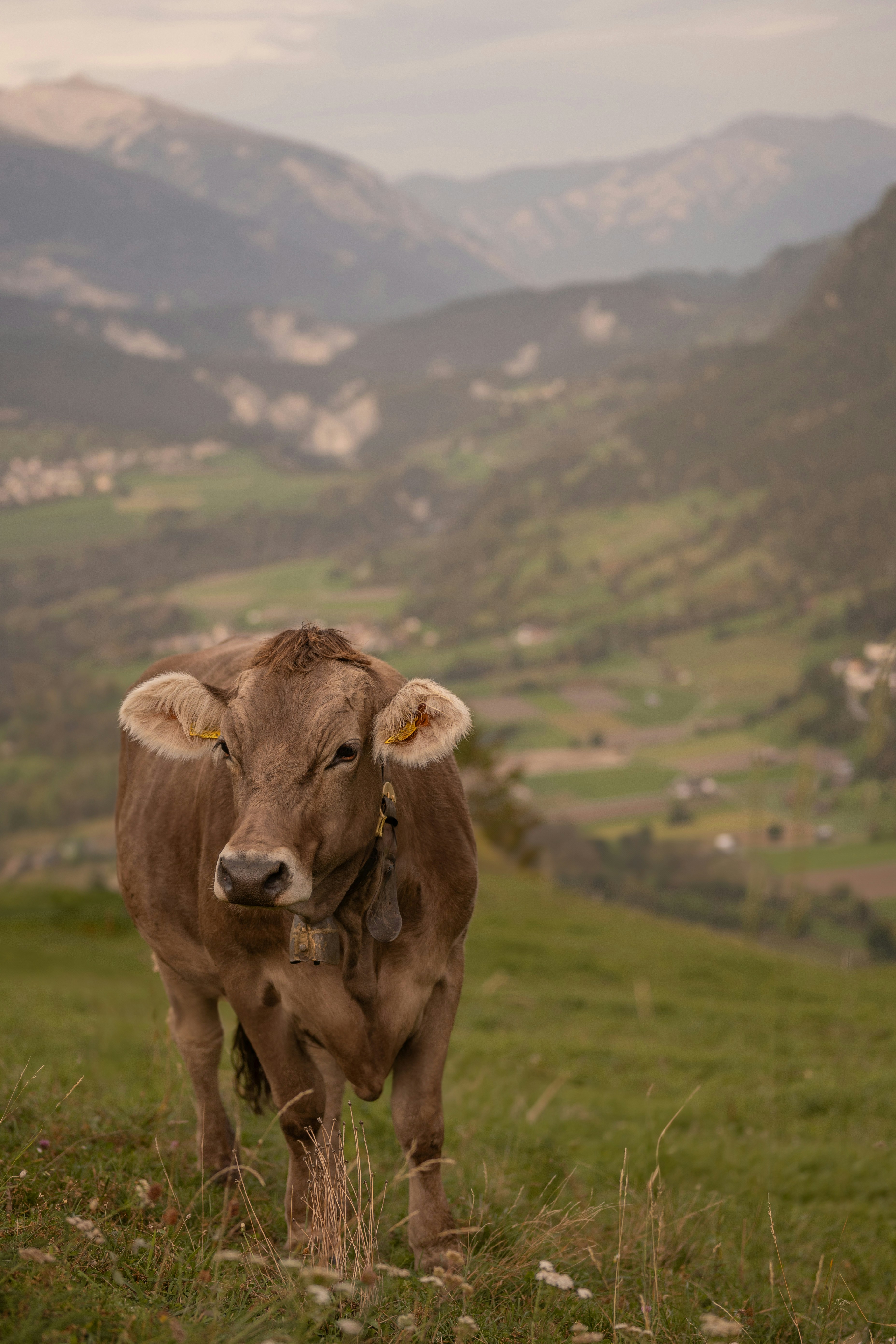Photo by melanieweidmann_photography