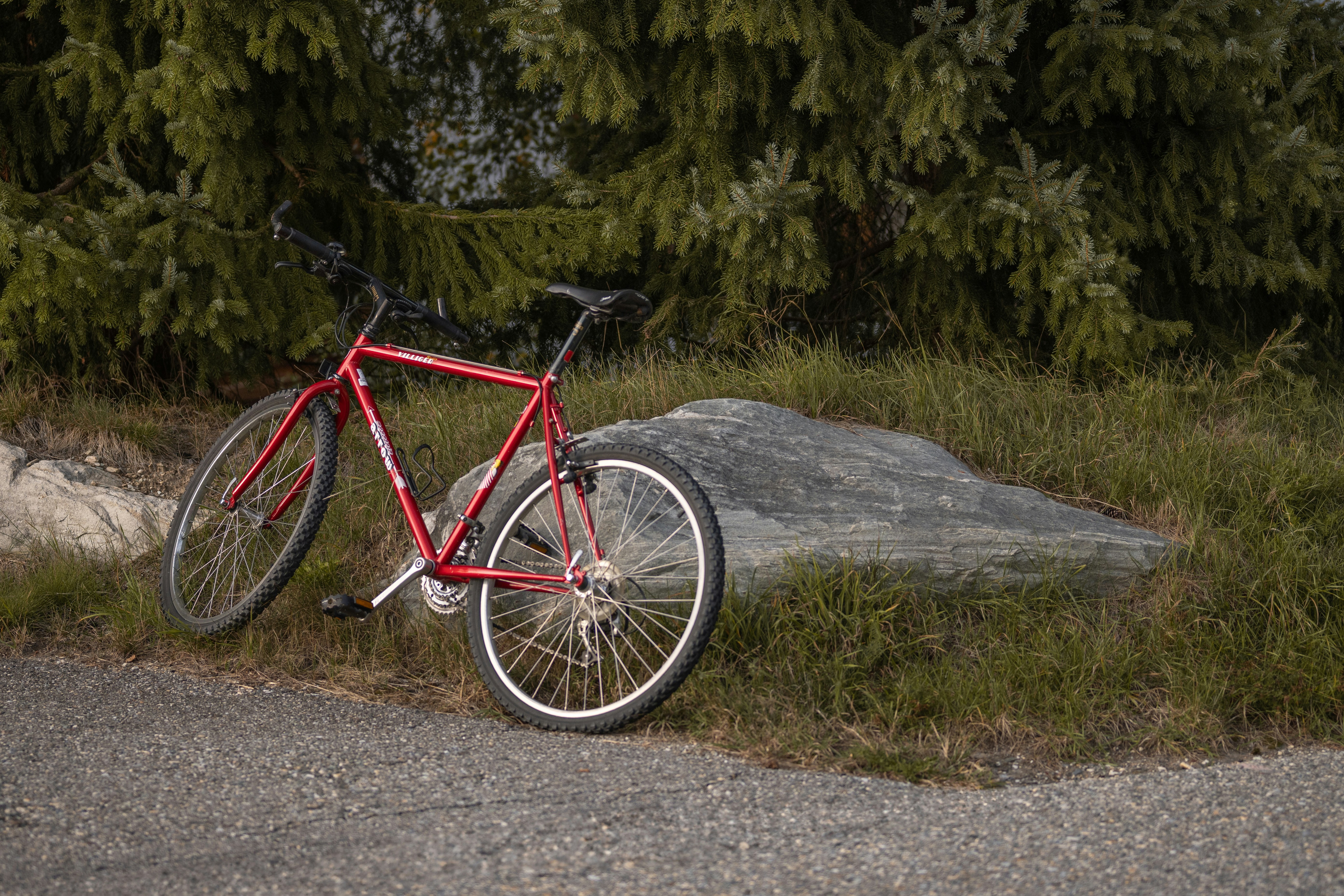 Photo by melanieweidmann_photography