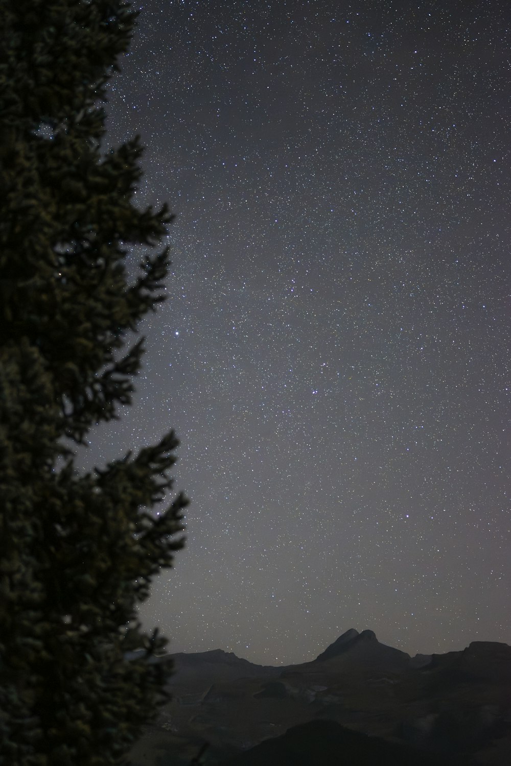 the night sky with stars above a mountain range