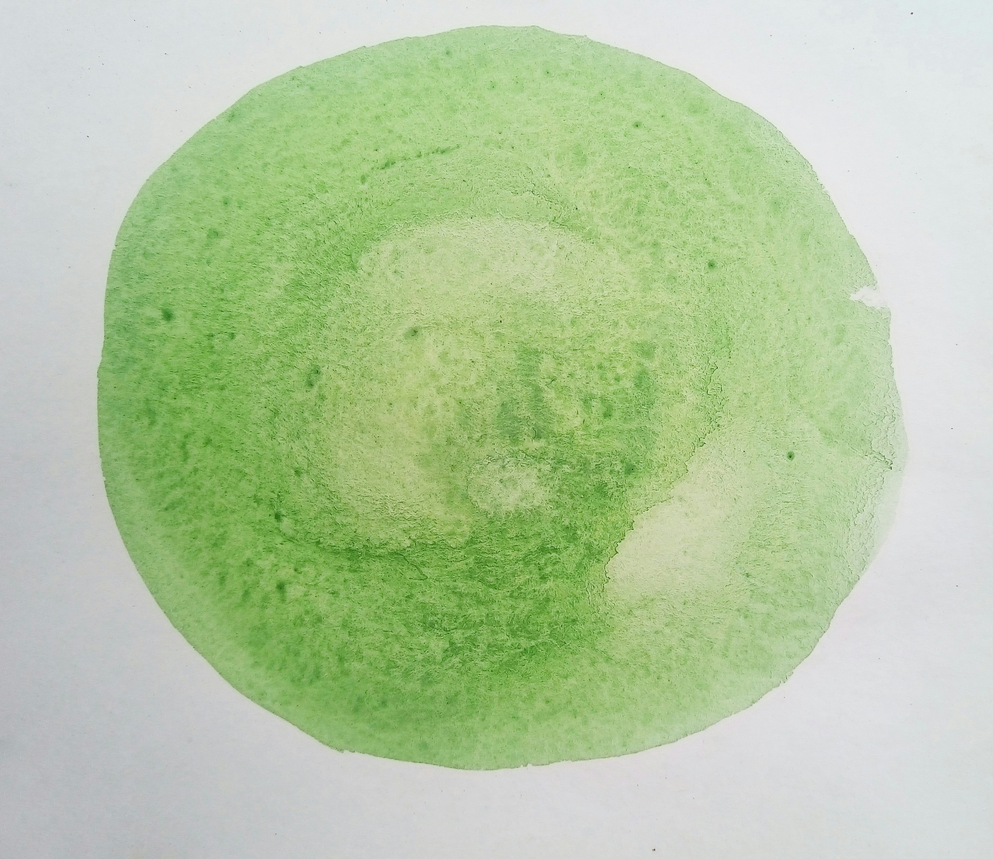 Autophagy: The Body's Natural Cleaning Process for Cellular Regeneration