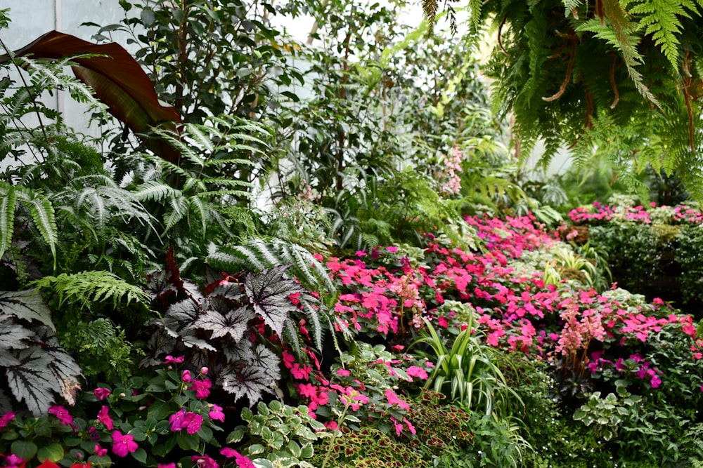 a garden filled with lots of different types of flowers