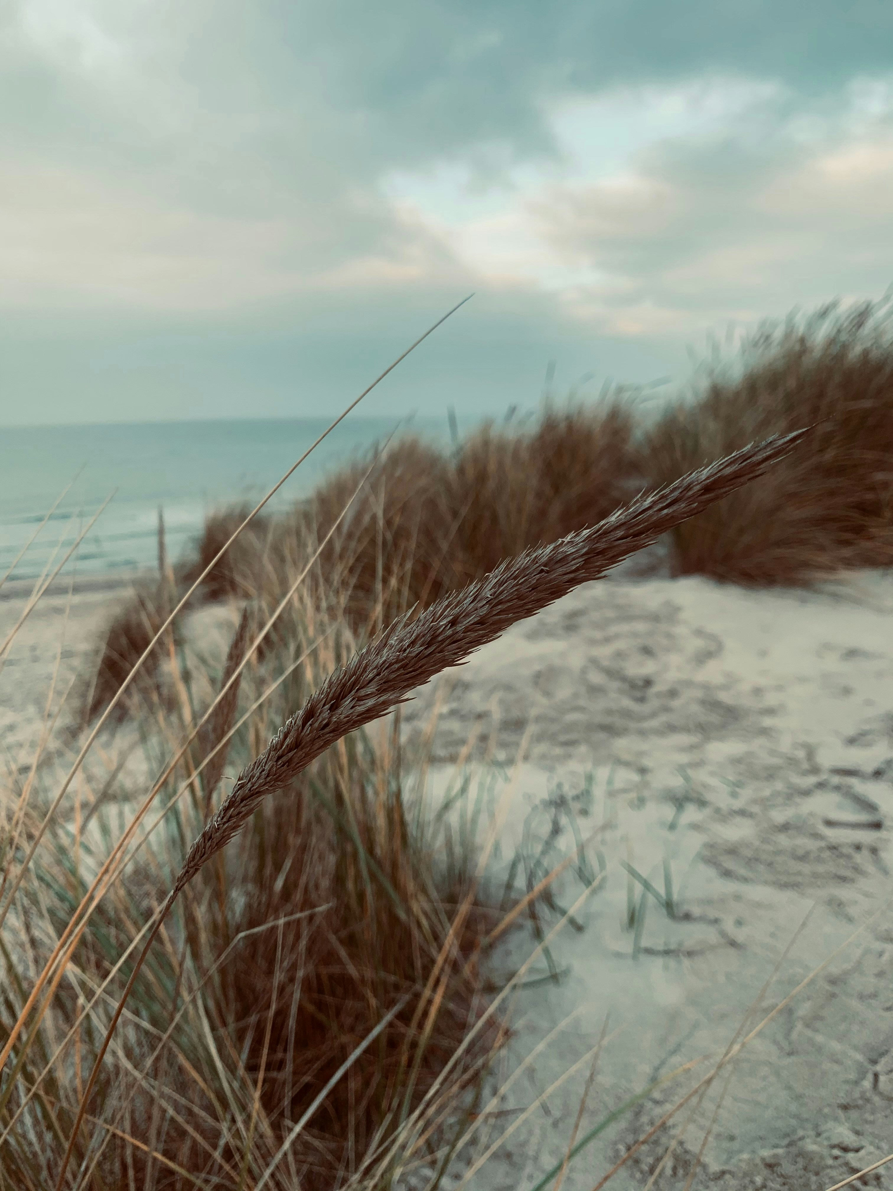 Photo by wanneofficial