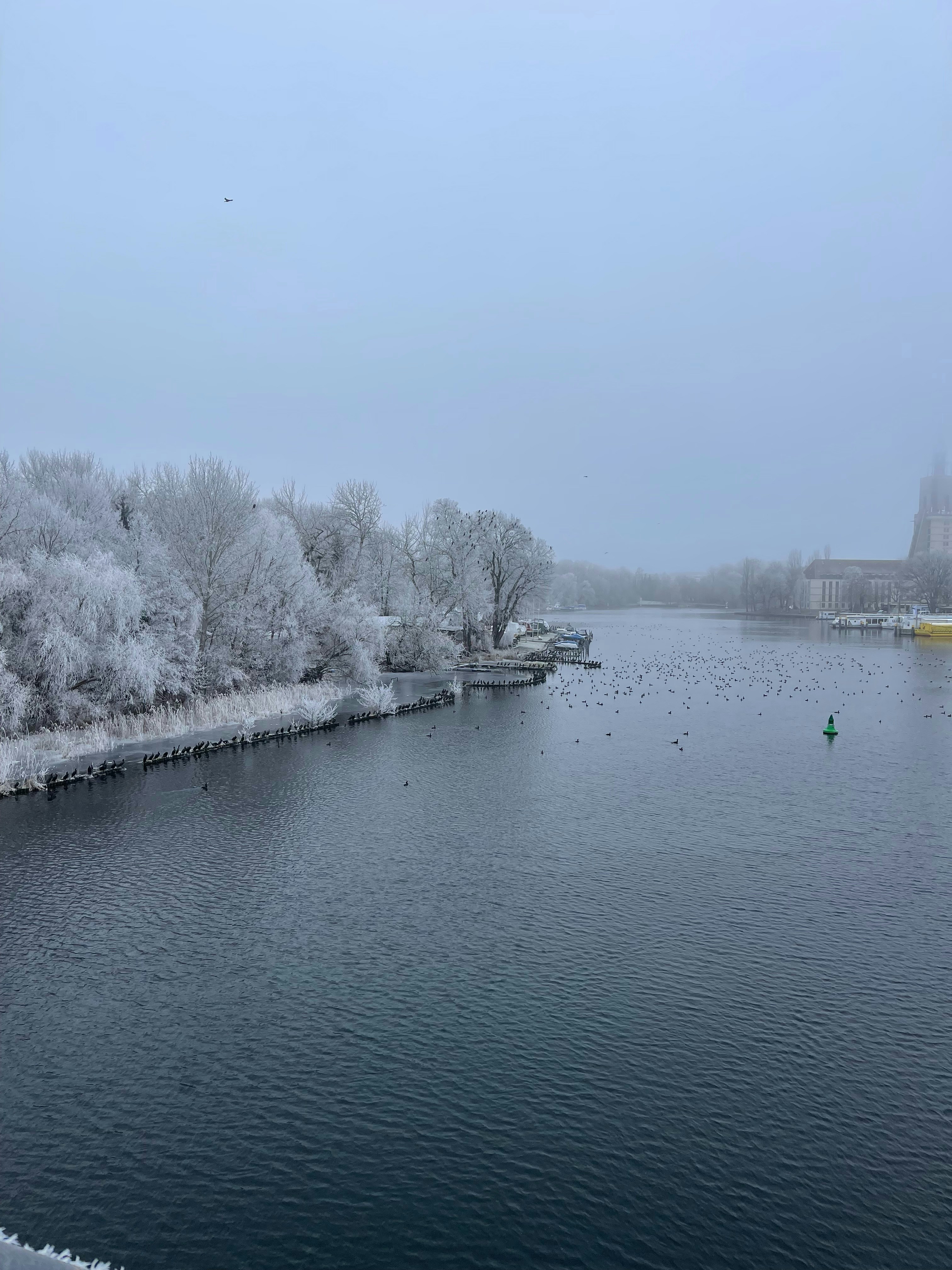 a body of water surrounded by trees covered in snow