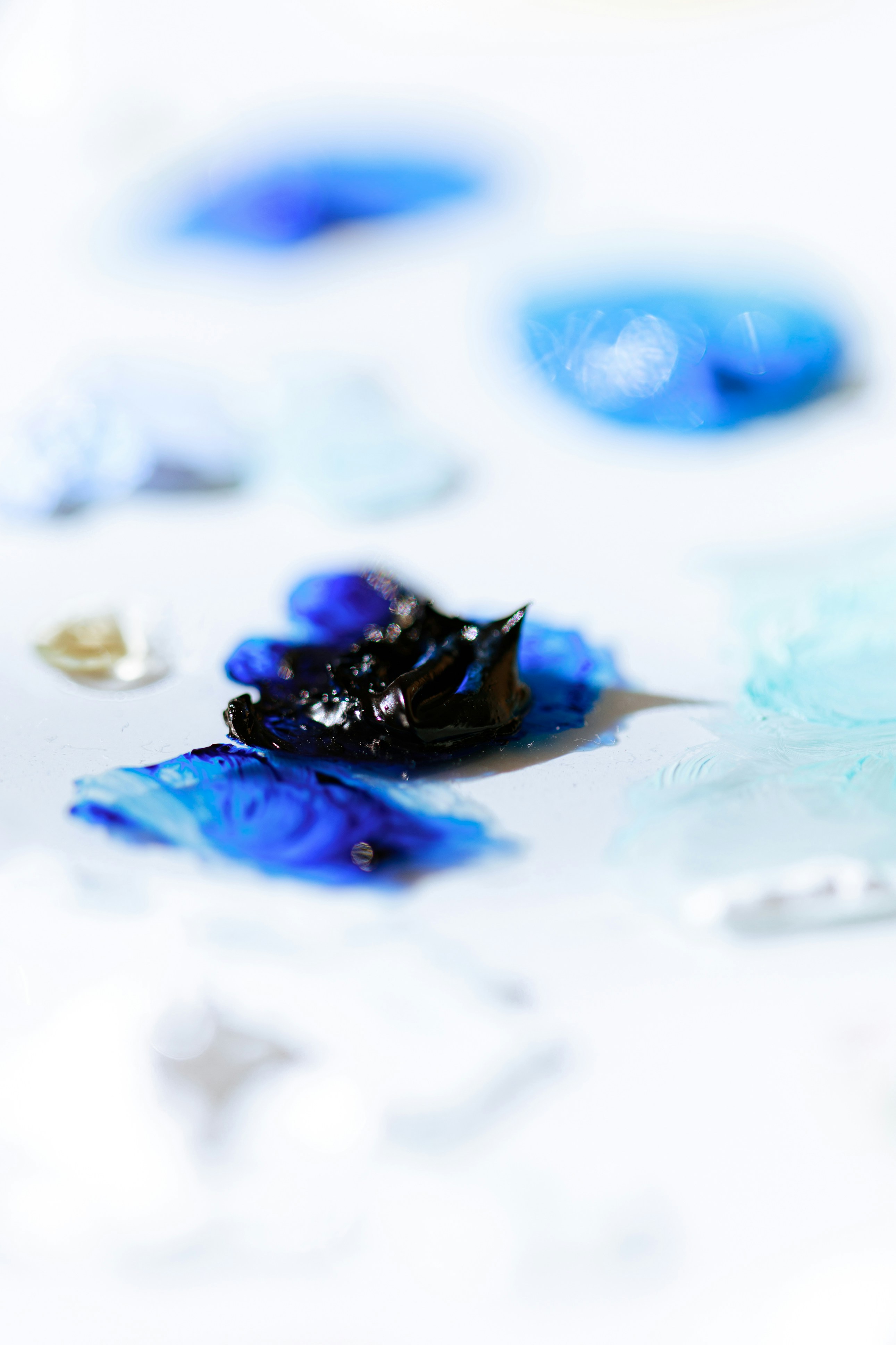 Photo by marsupialpudding