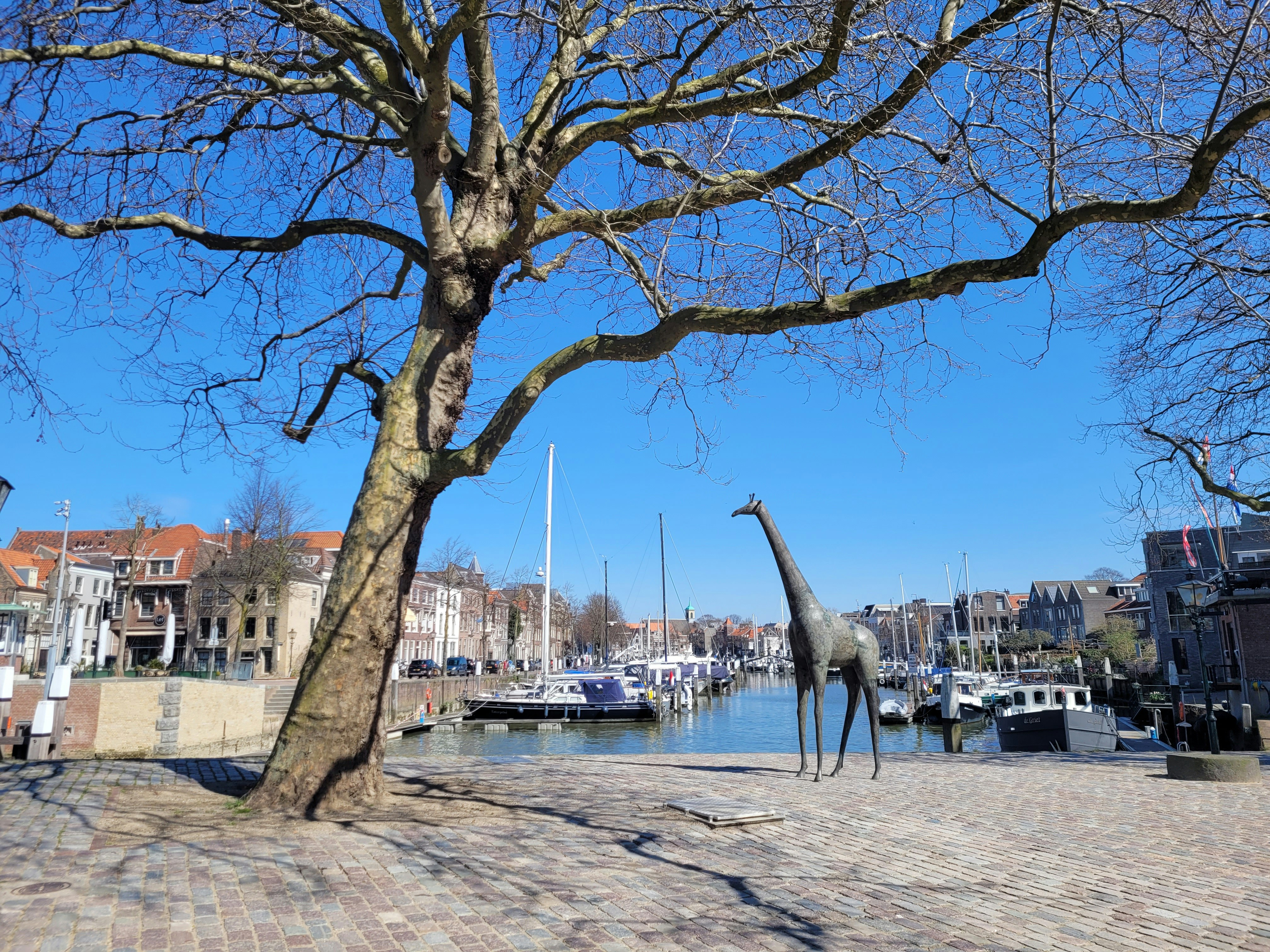 Afbeelding van de provincie