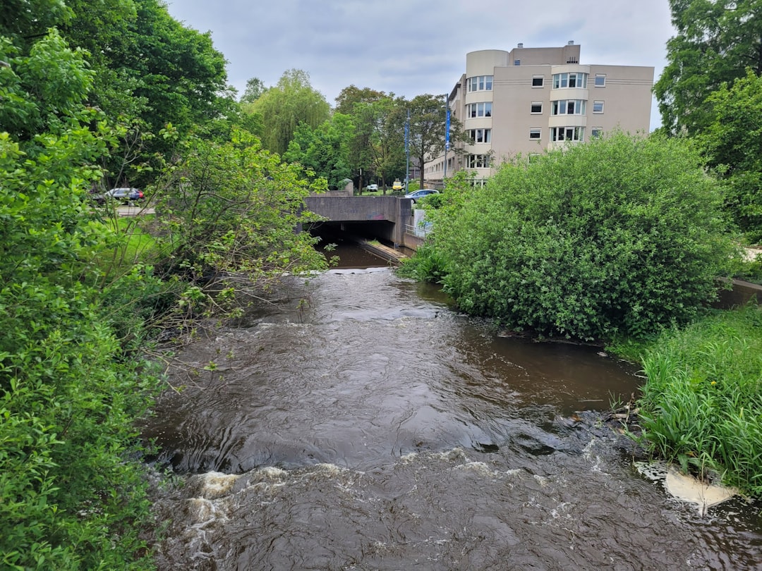 Afbeelding van Eindhoven