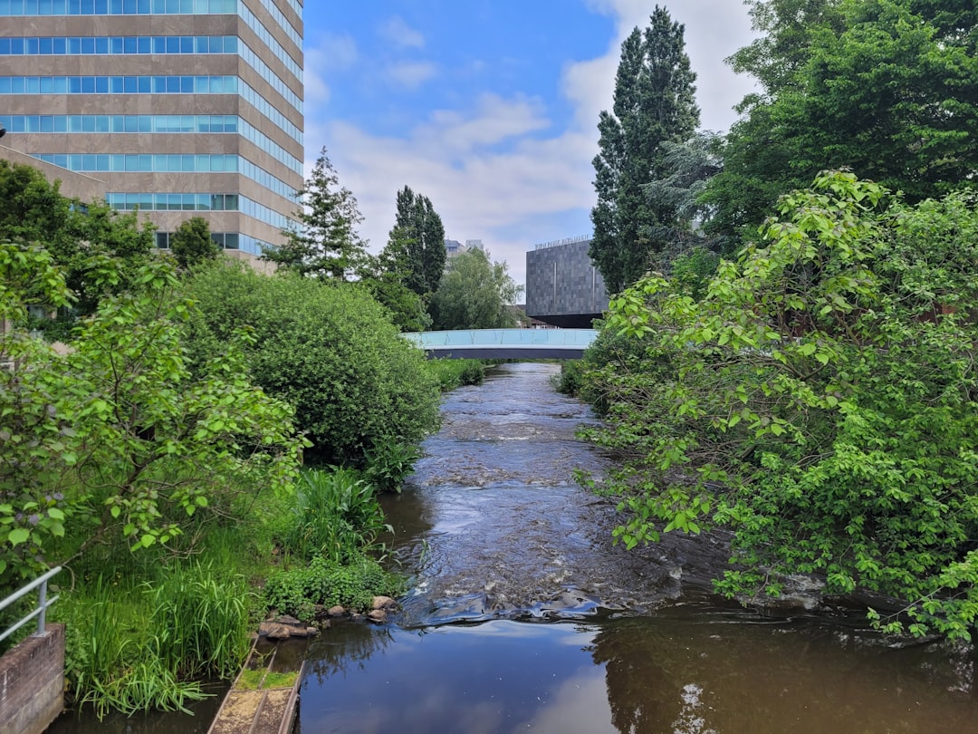 Afbeelding van Eindhoven