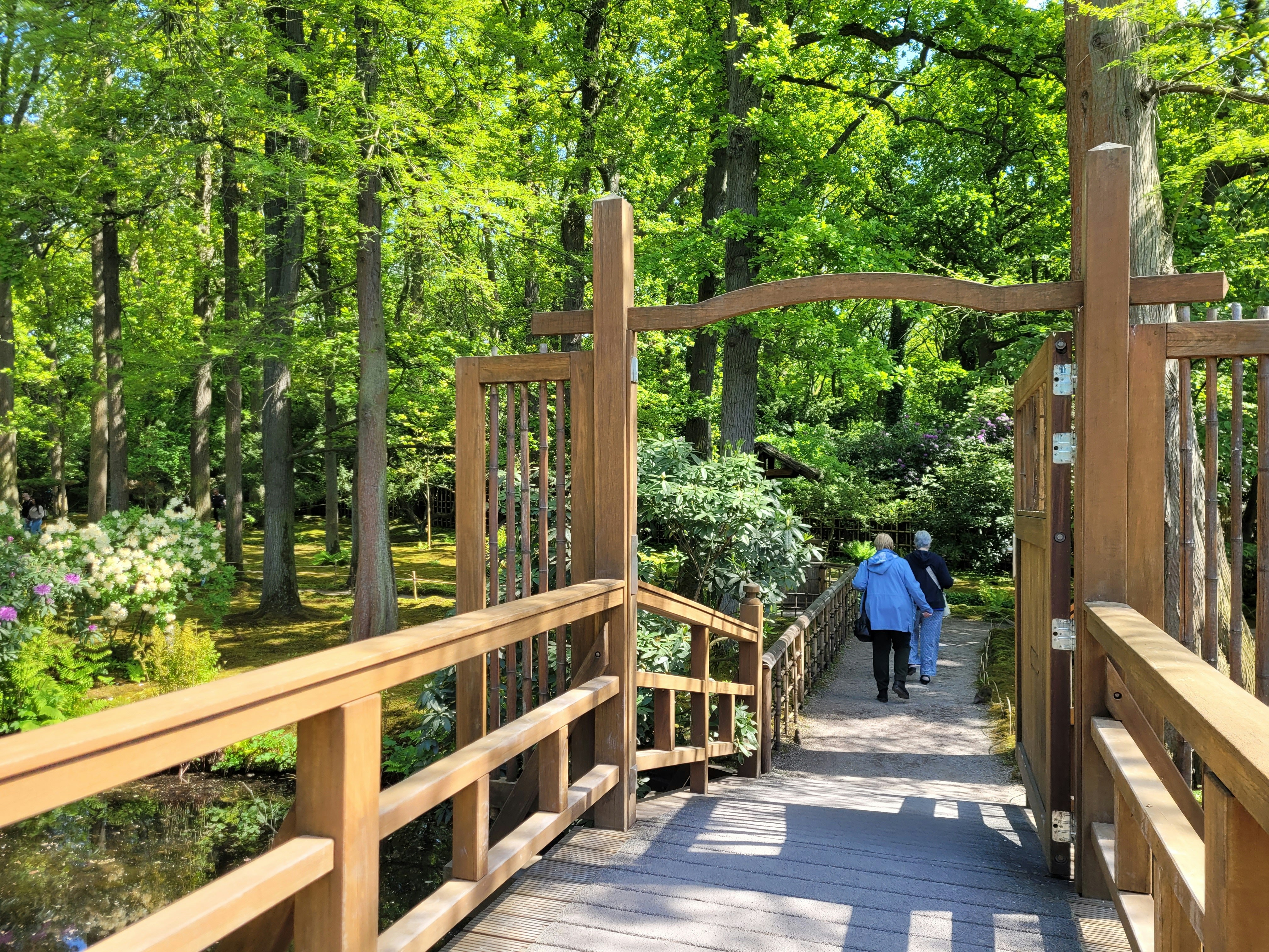 Afbeelding van 's-Gravenhage