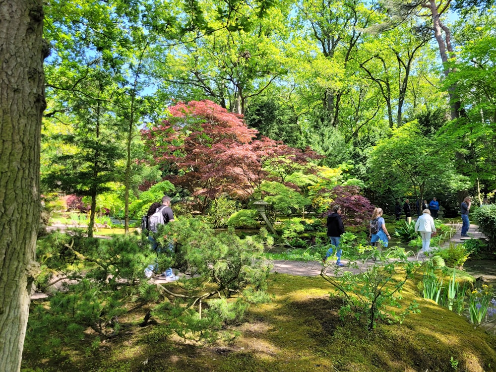 a group of people walking through a lush green park