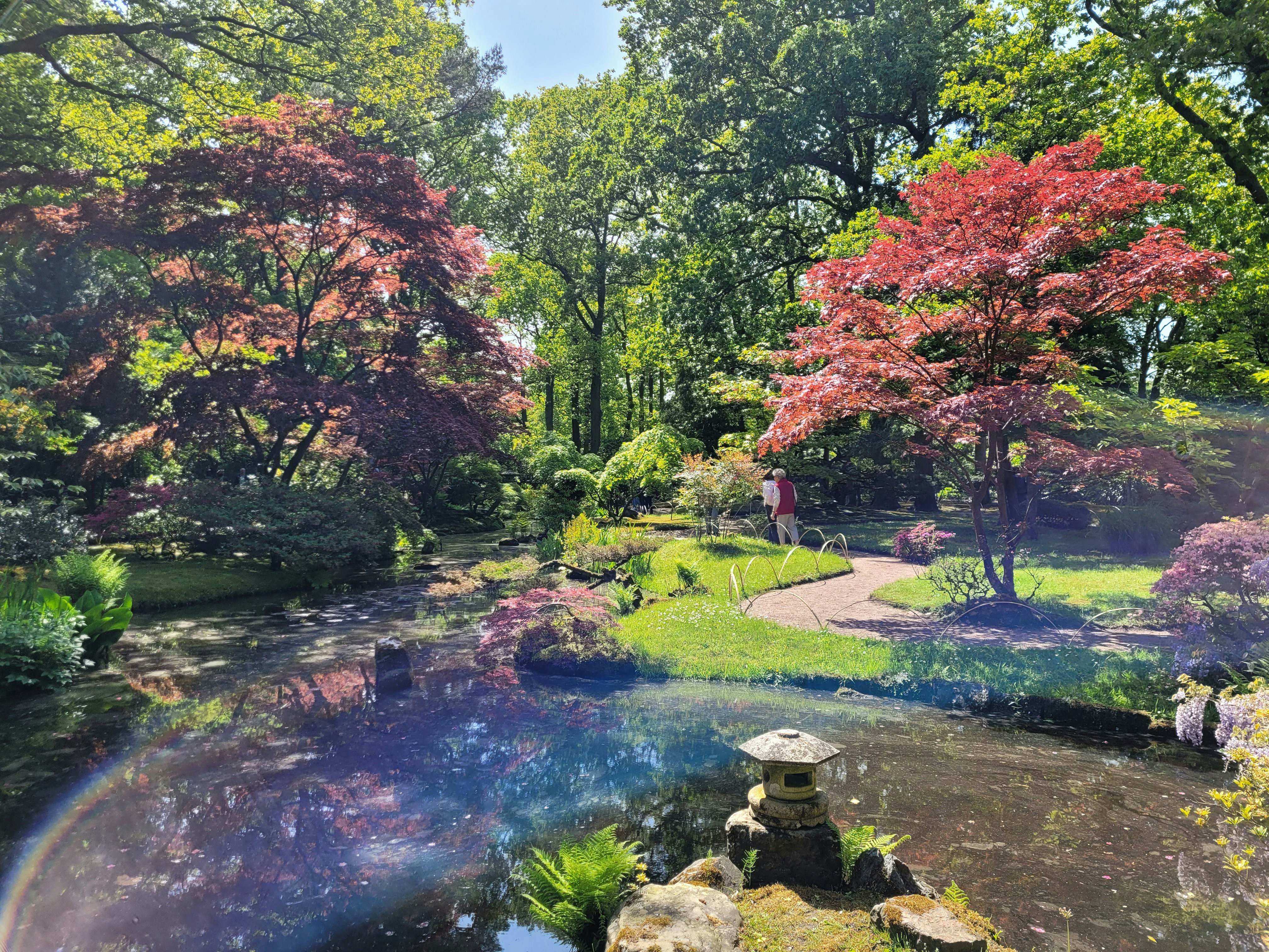 Afbeelding van 's-Gravenhage