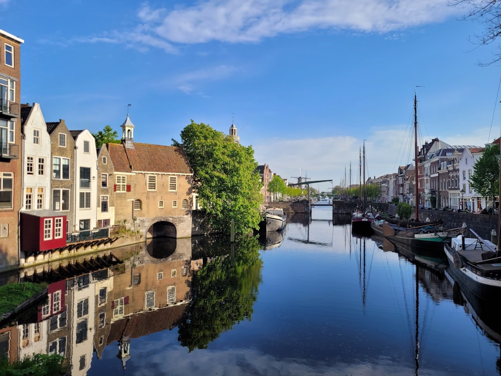 a river with a bunch of boats in it