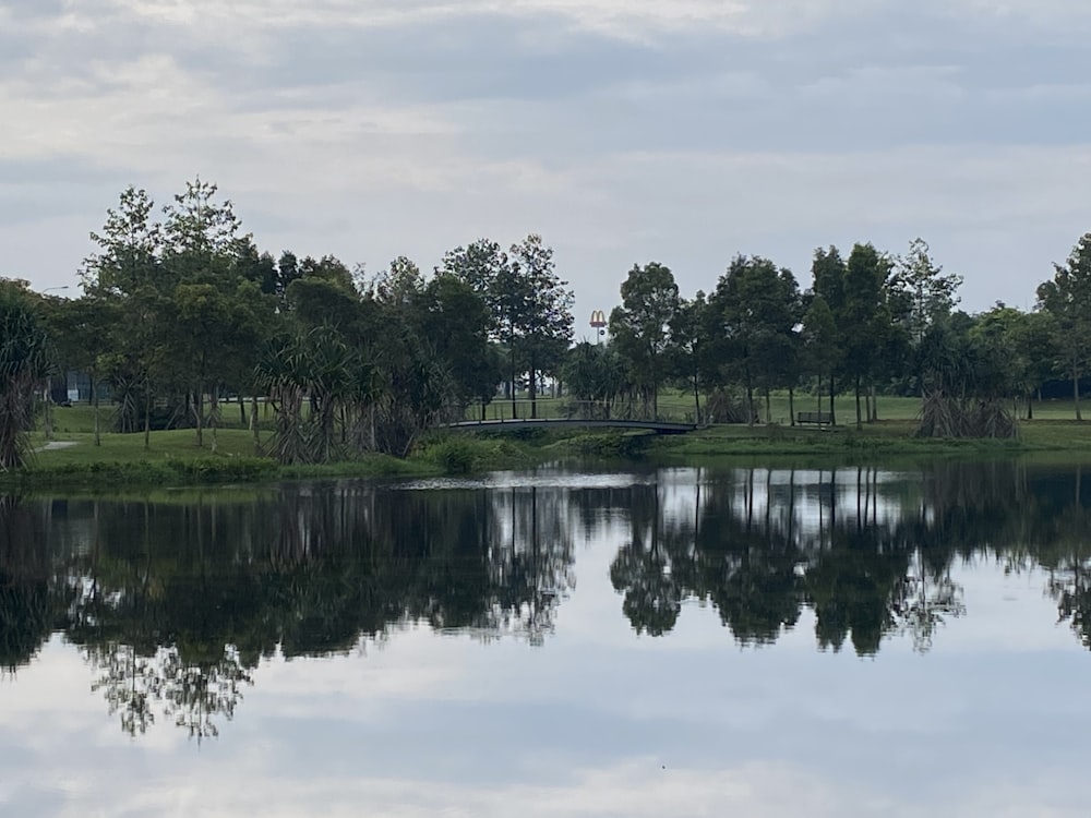 a large body of water surrounded by trees