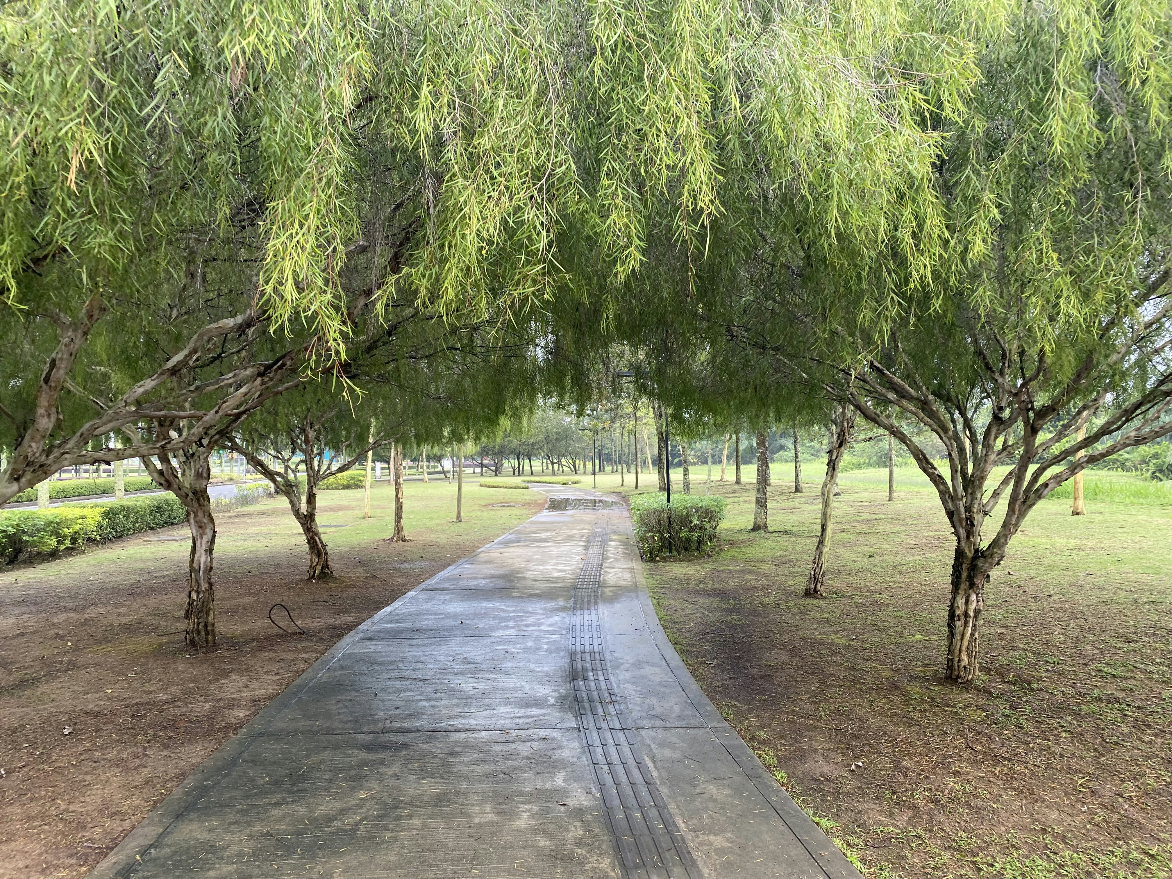 Ascot Aintree Walkway