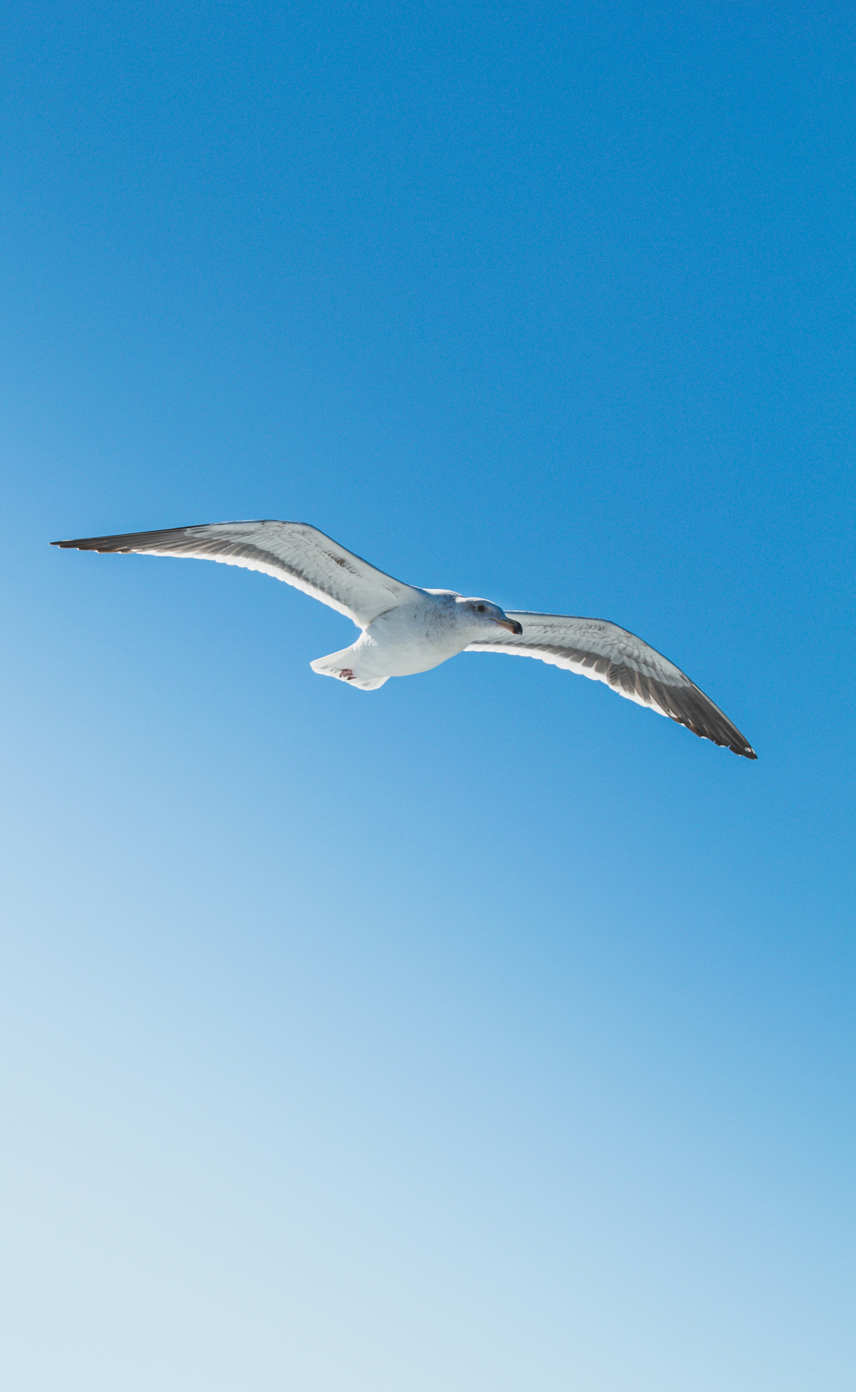 Photo by michaelc179