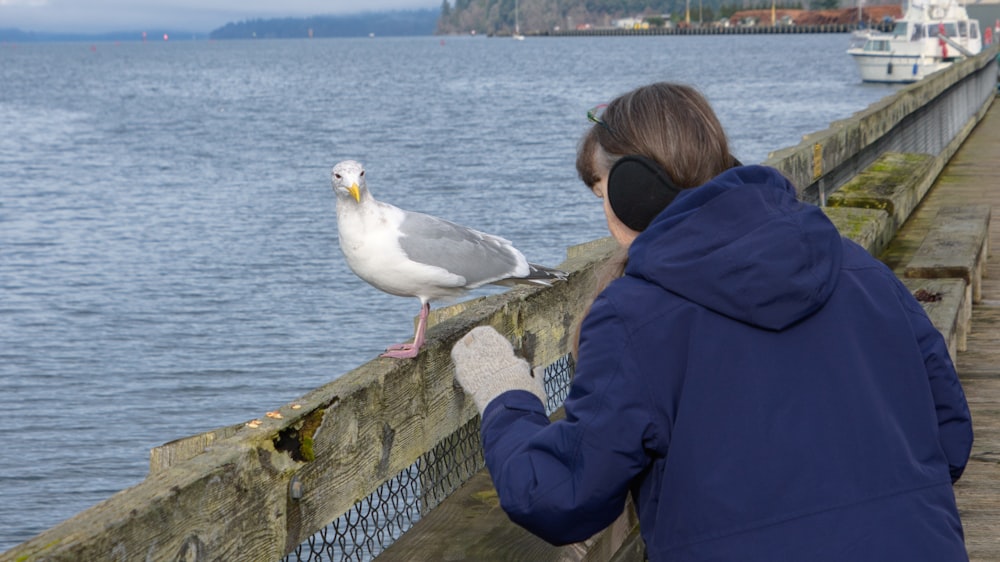 a woman is looking at a seagull on a pier