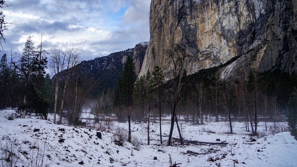 a snowy landscape with a mountain in the background