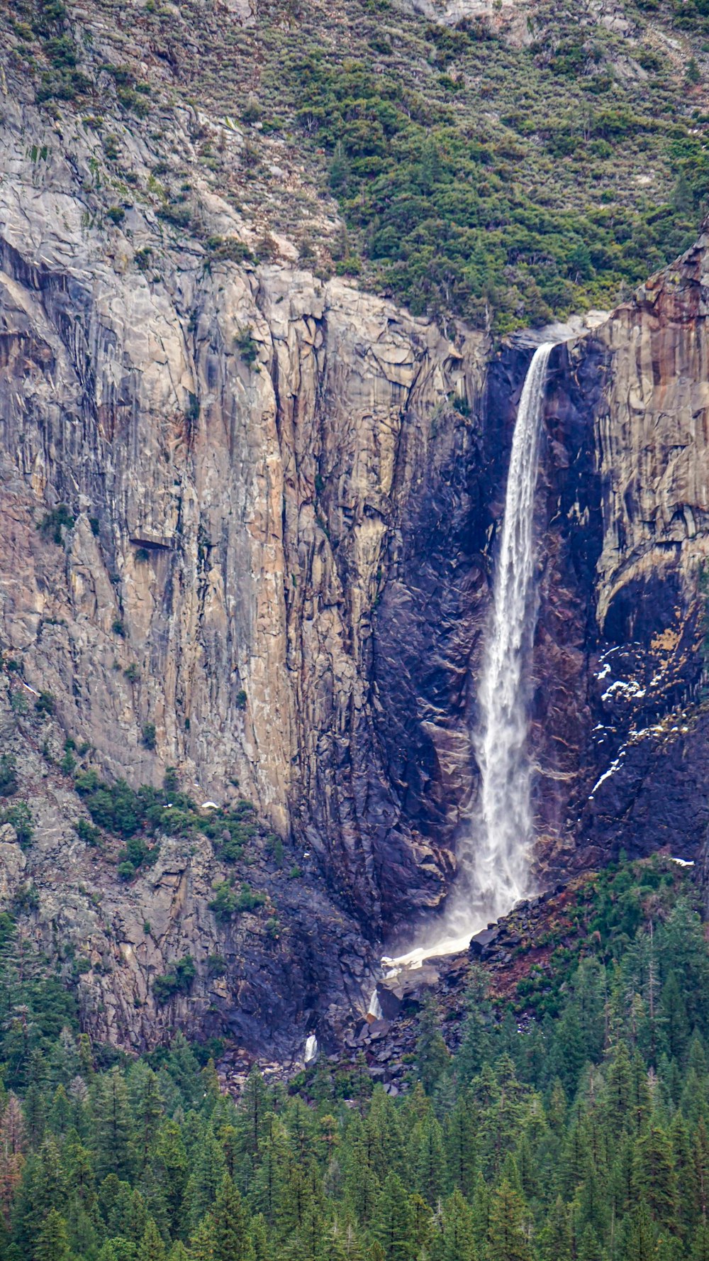 a waterfall in the middle of a forest