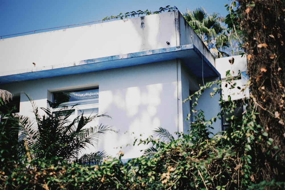 a white building with a blue roof and trees