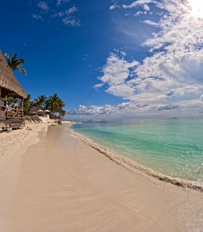 a sandy beach with a thatched roof next to the ocean
