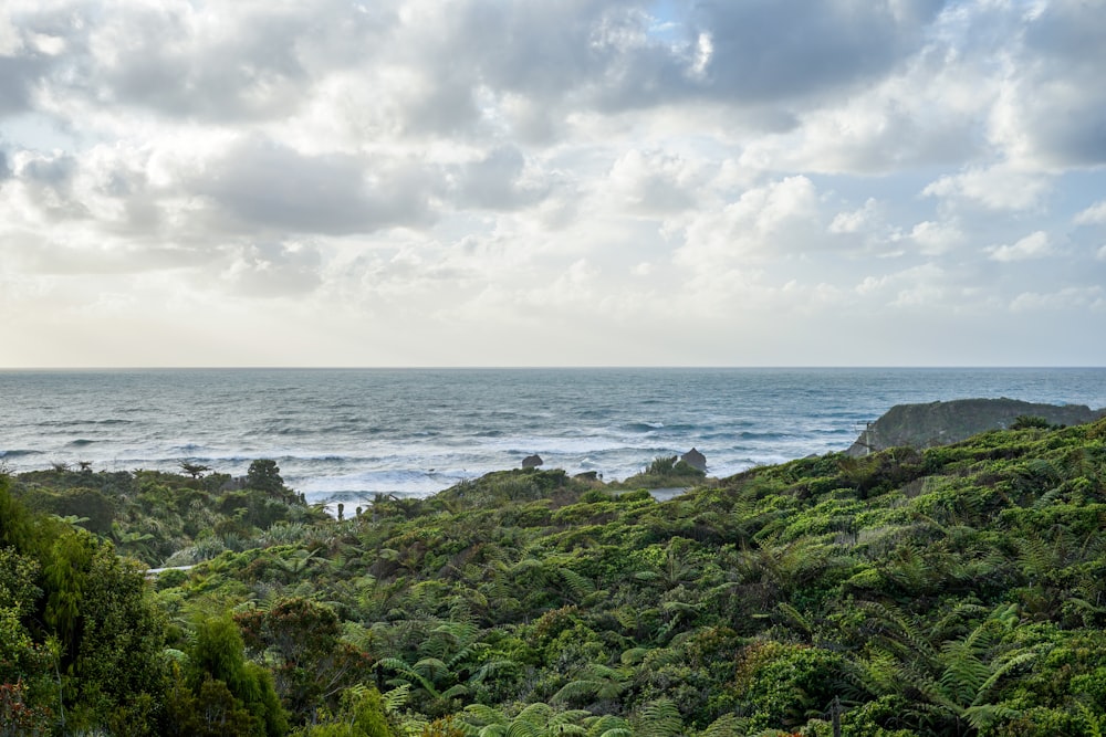 Una vista di uno specchio d'acqua da una collina